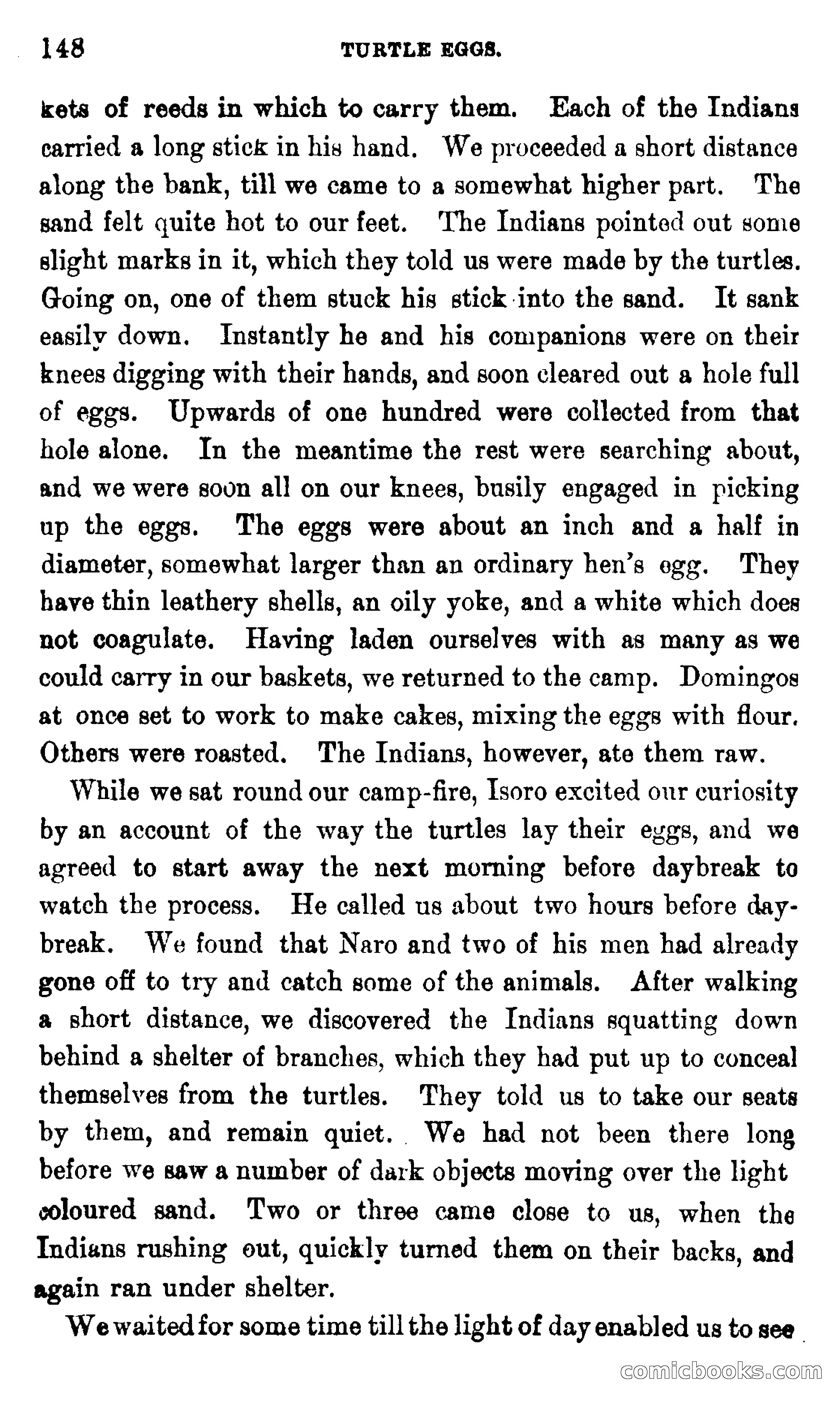 On the Banks of the Amazon — page 142 of 400