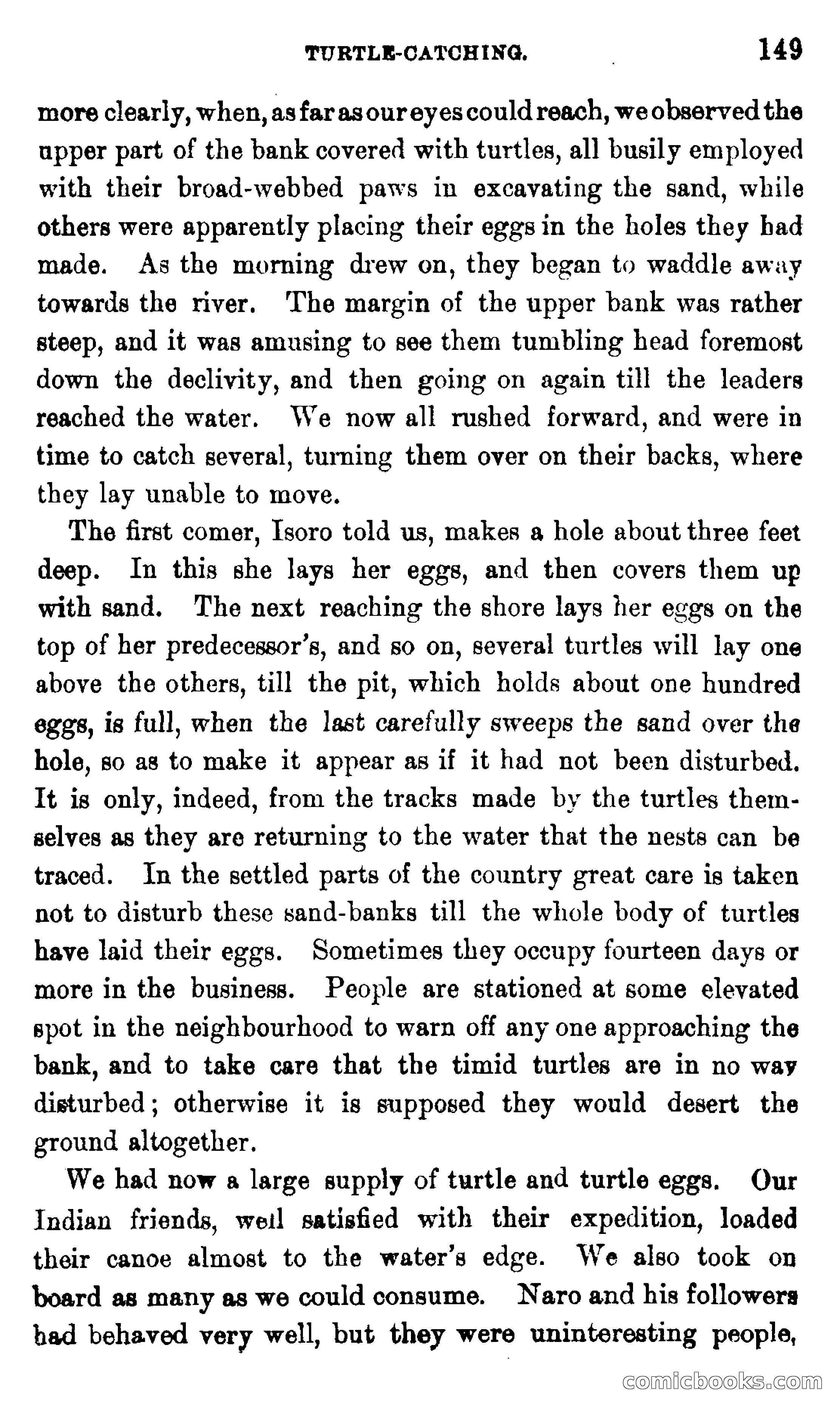 On the Banks of the Amazon — page 143 of 400