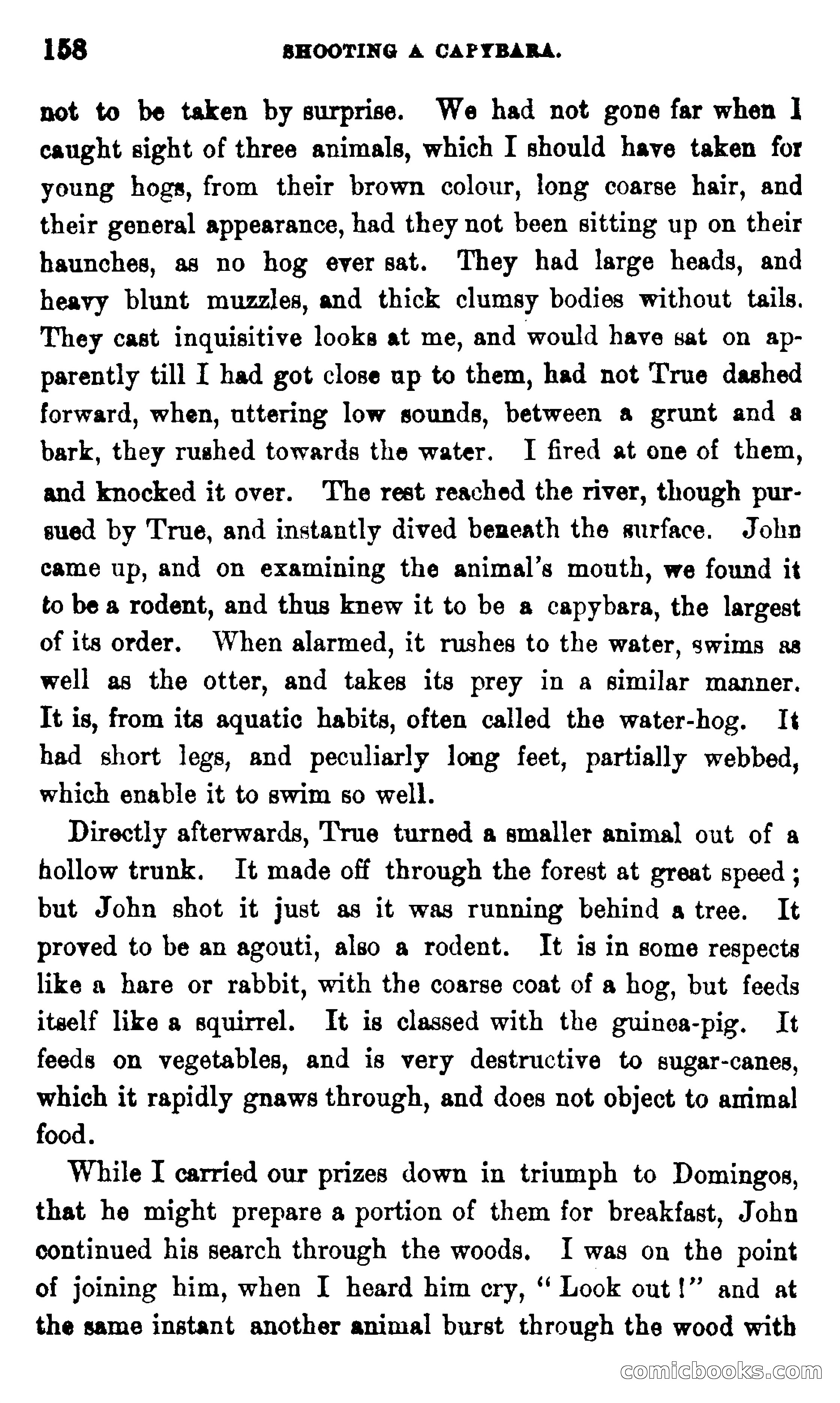 On the Banks of the Amazon — page 152 of 400