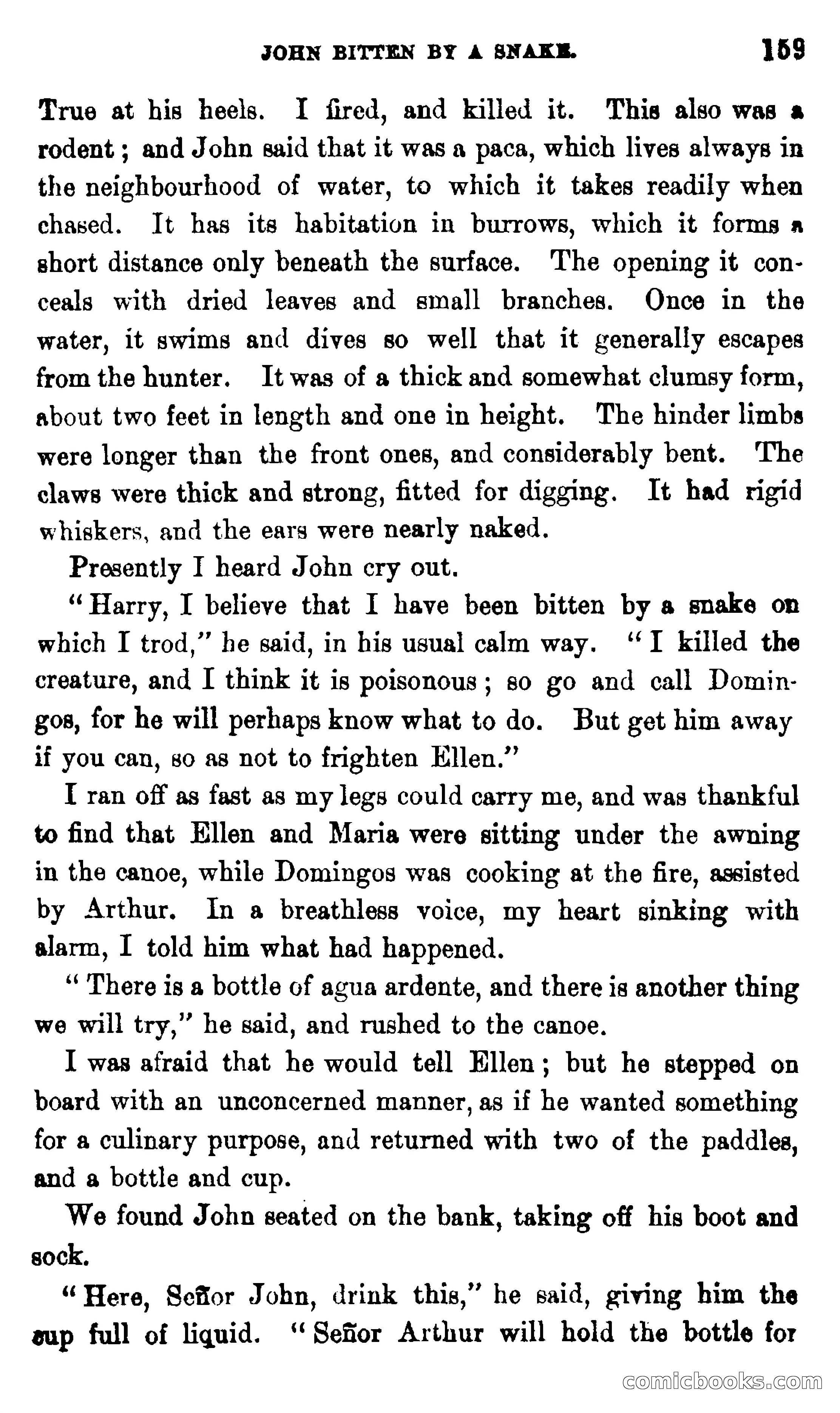 On the Banks of the Amazon — page 153 of 400