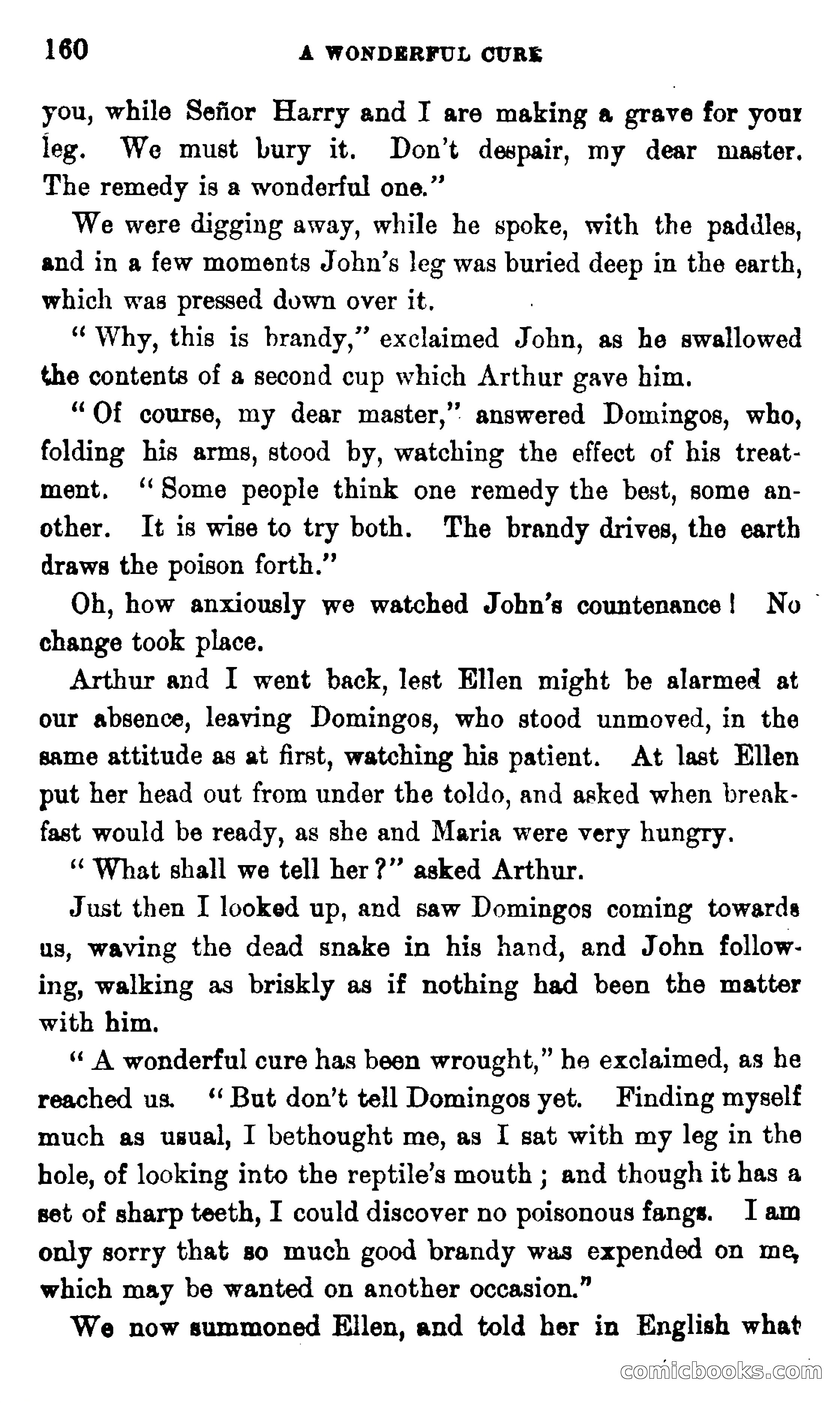 On the Banks of the Amazon — page 154 of 400