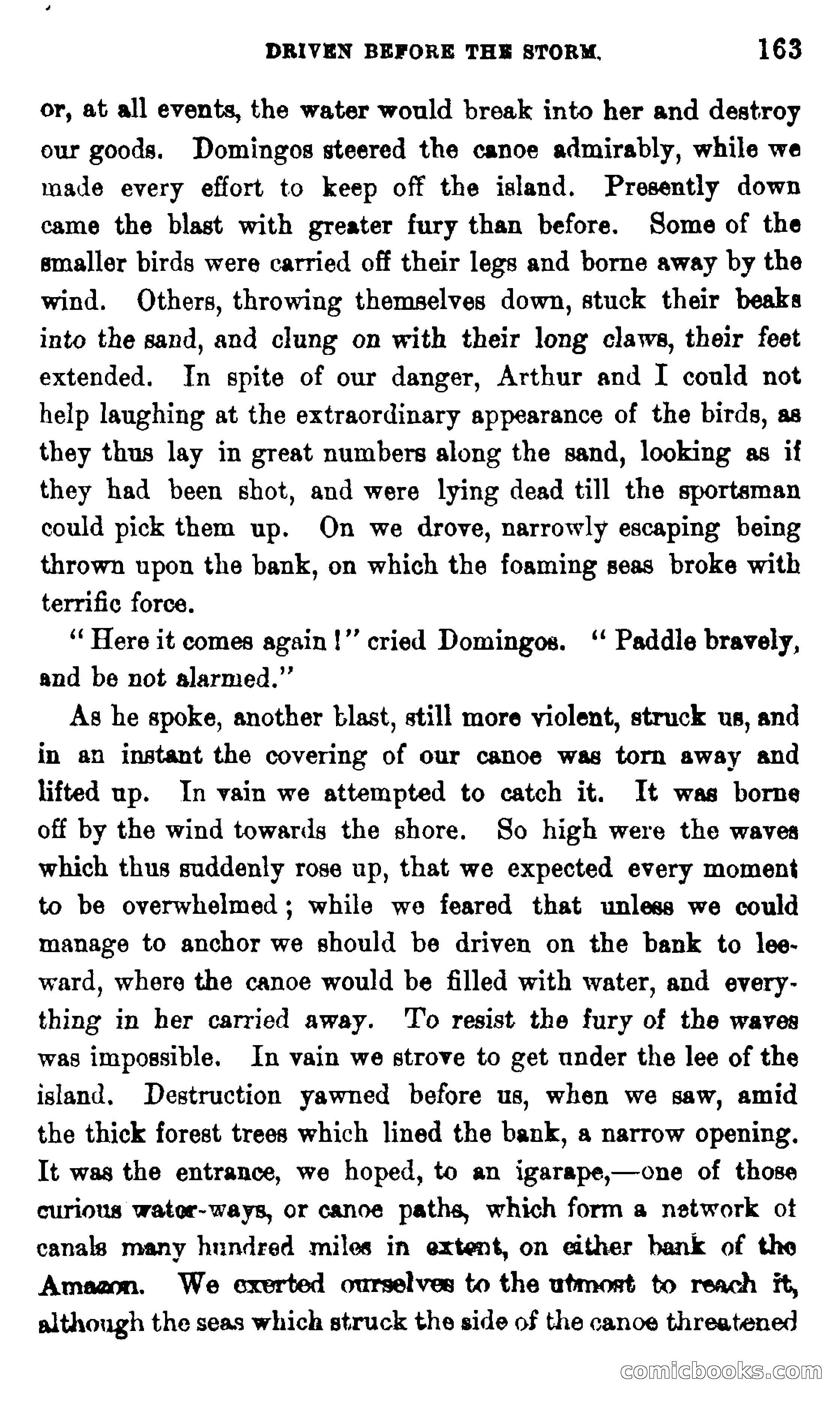 On the Banks of the Amazon — page 157 of 400
