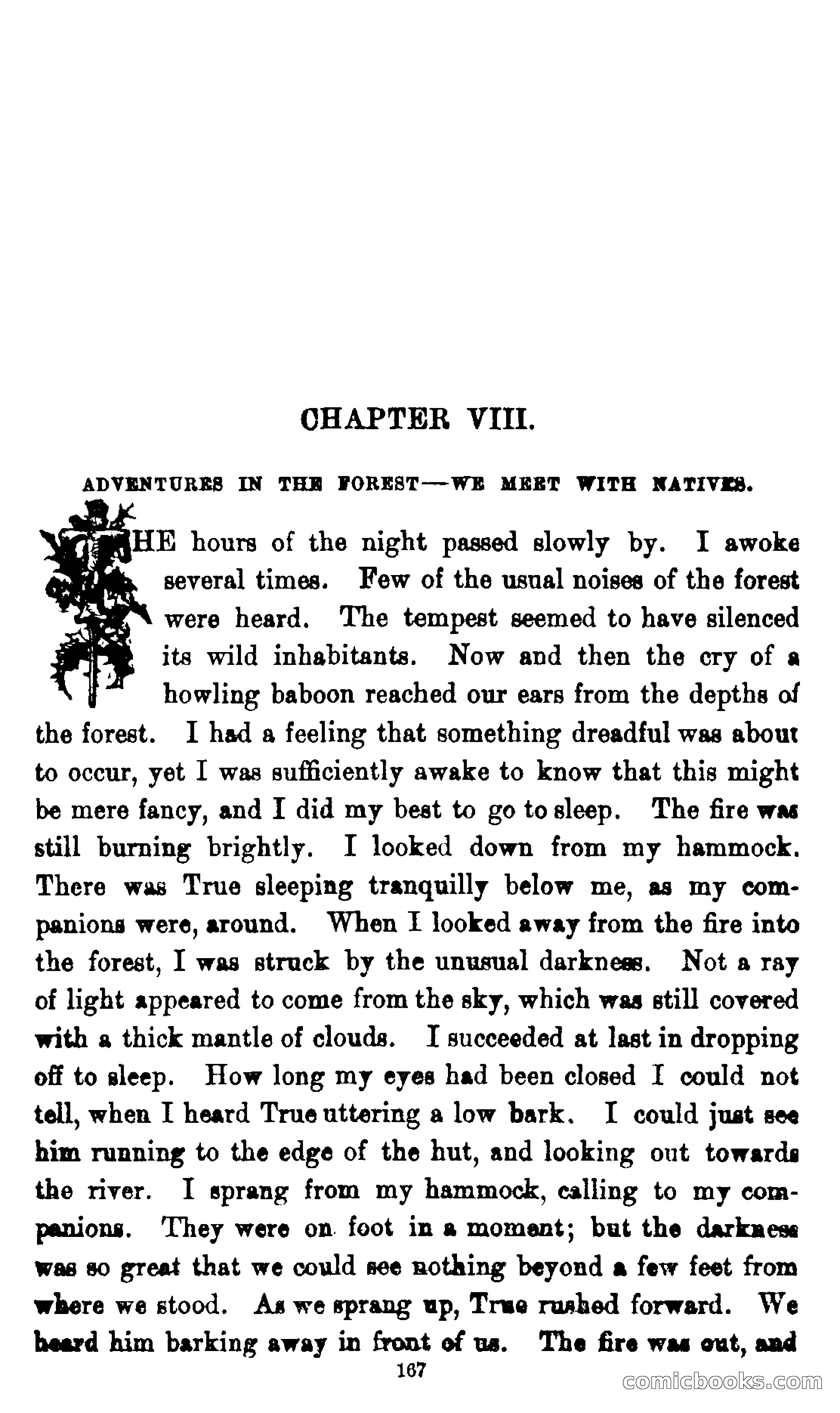 On the Banks of the Amazon — page 161 of 400