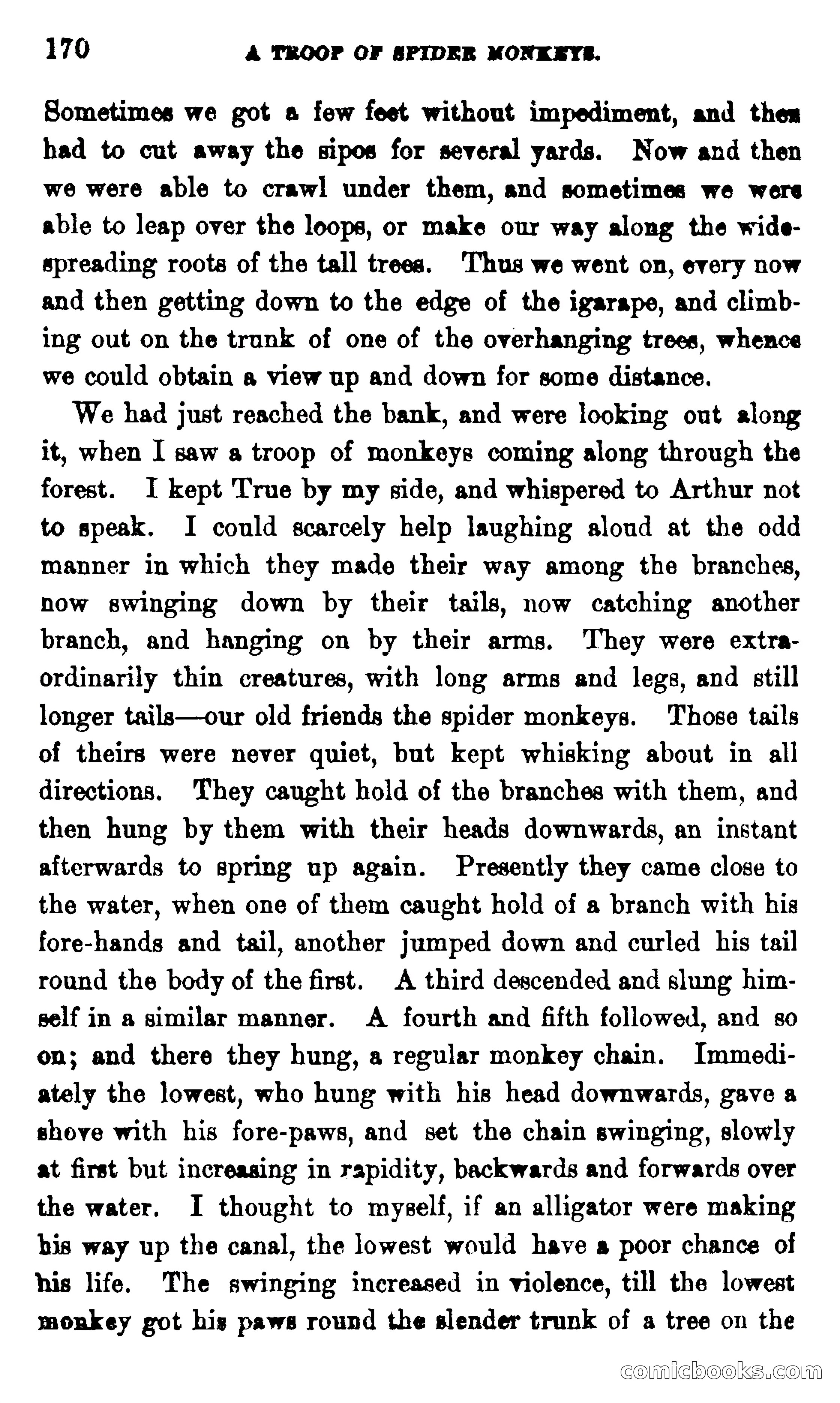 On the Banks of the Amazon — page 164 of 400