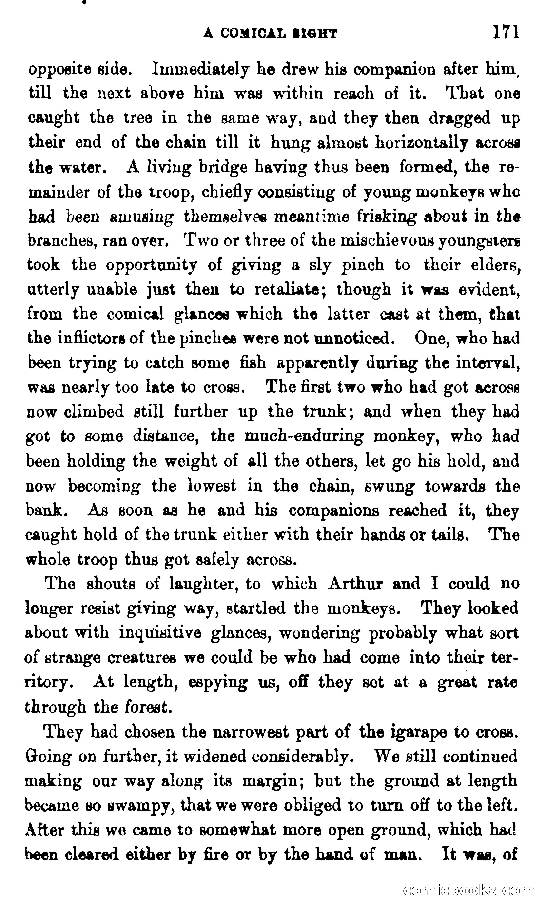 On the Banks of the Amazon — page 165 of 400