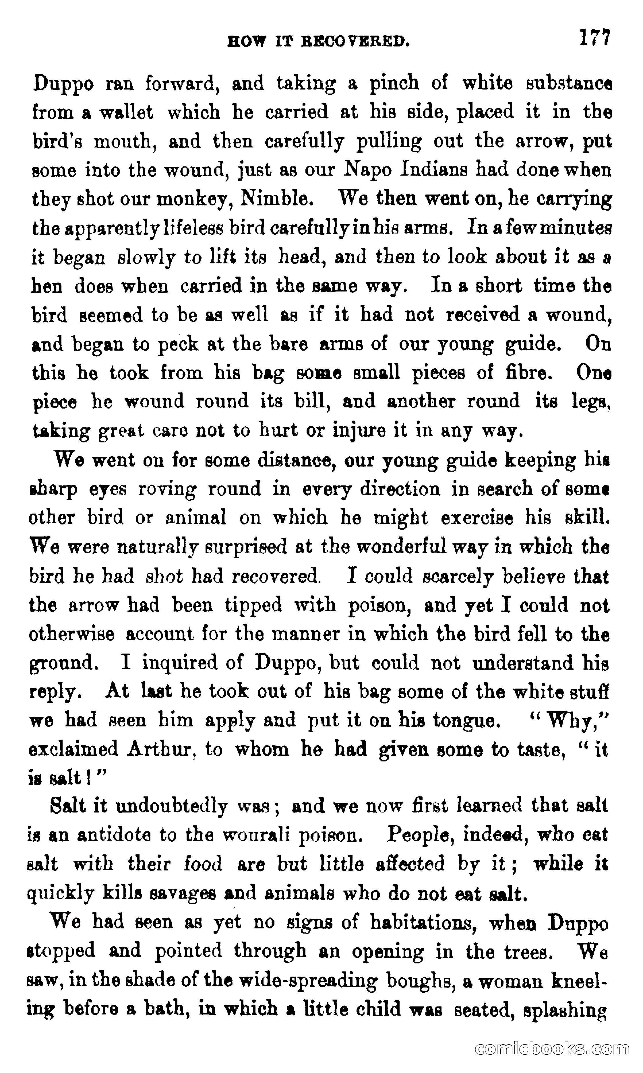 On the Banks of the Amazon — page 171 of 400
