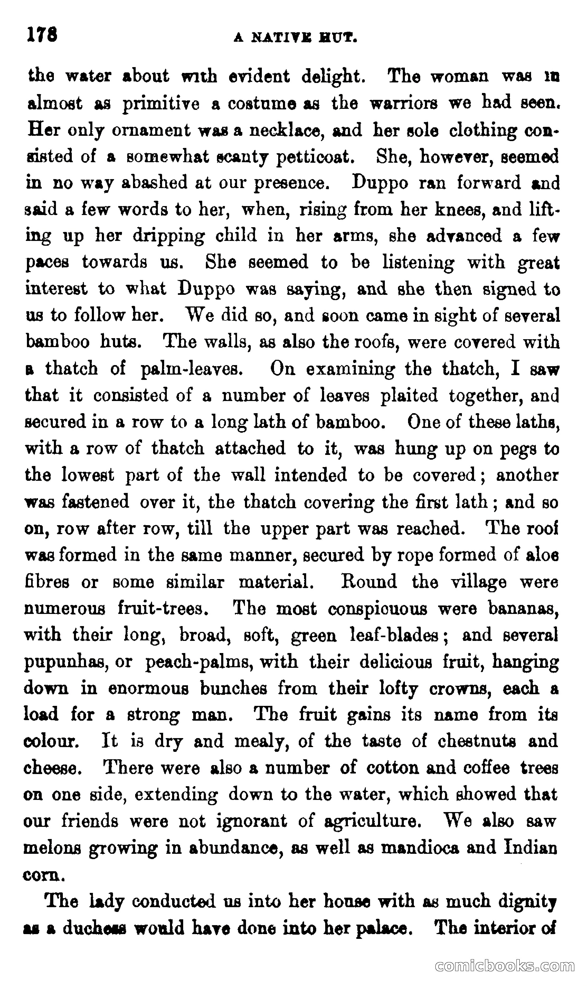 On the Banks of the Amazon — page 172 of 400