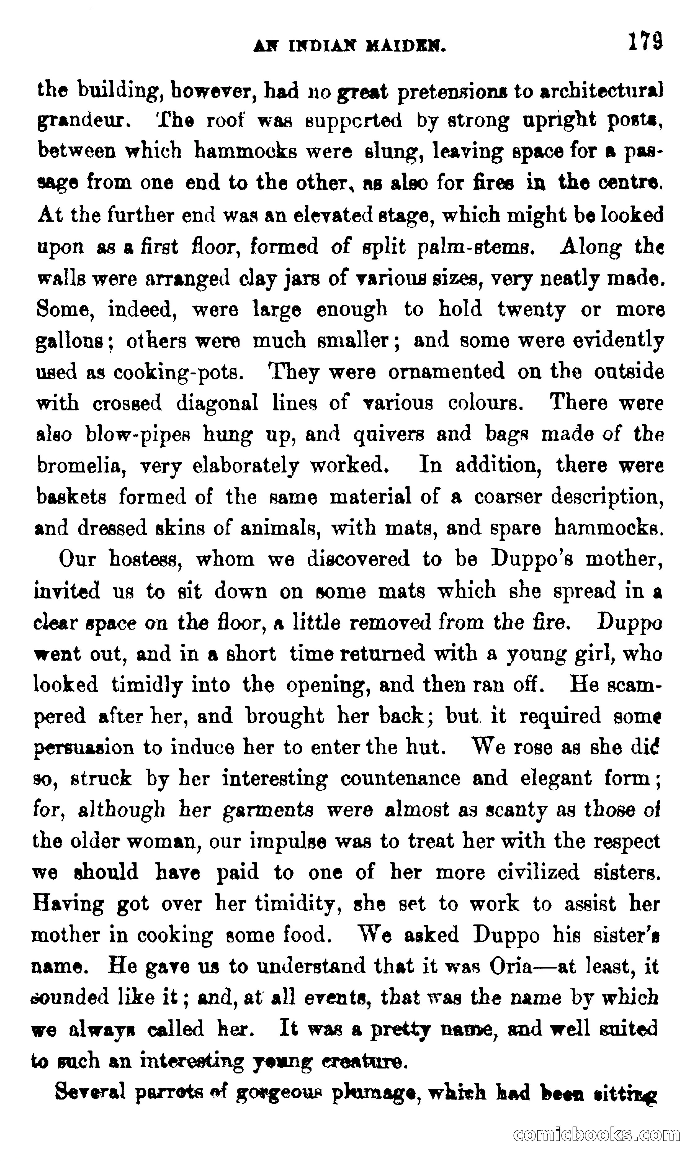 On the Banks of the Amazon — page 173 of 400