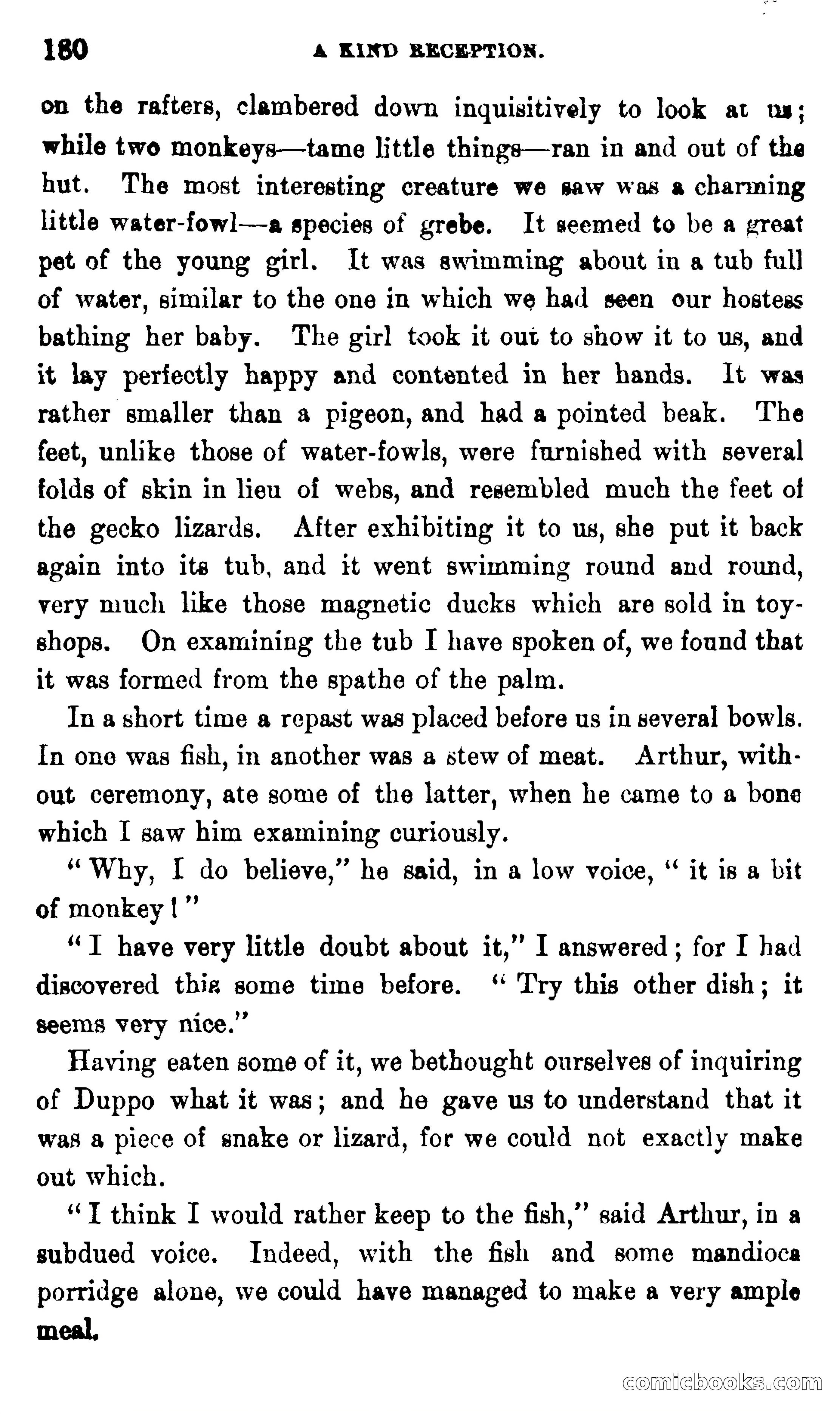 On the Banks of the Amazon — page 174 of 400