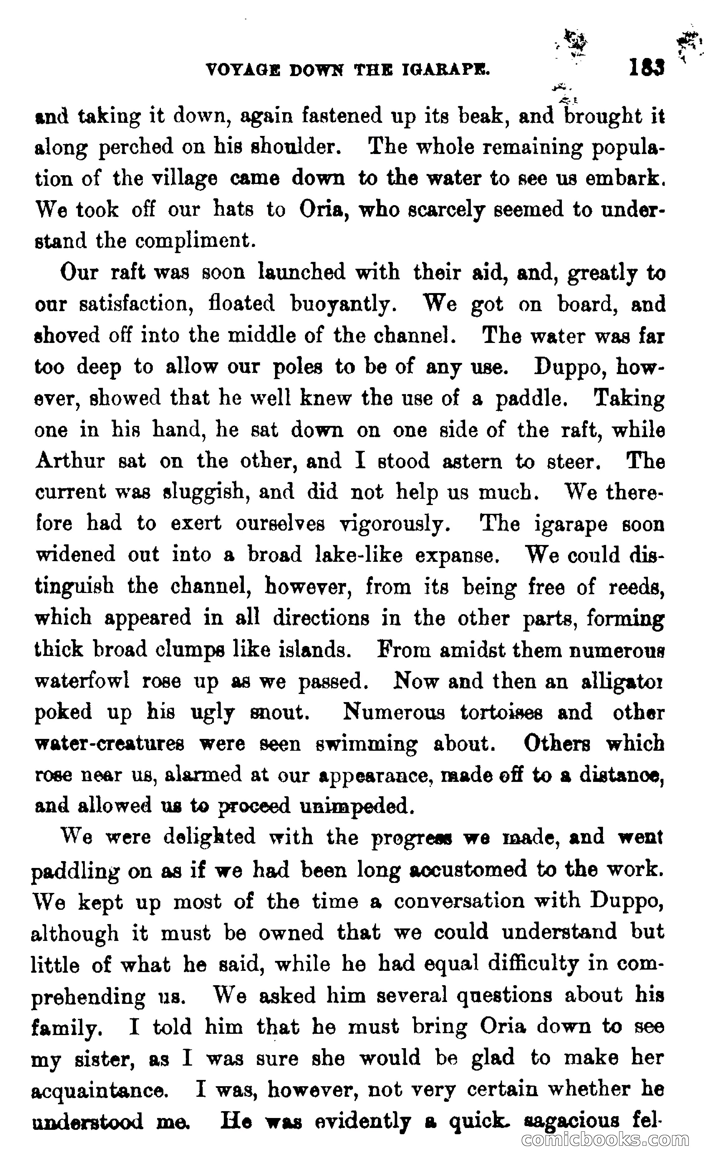 On the Banks of the Amazon — page 177 of 400