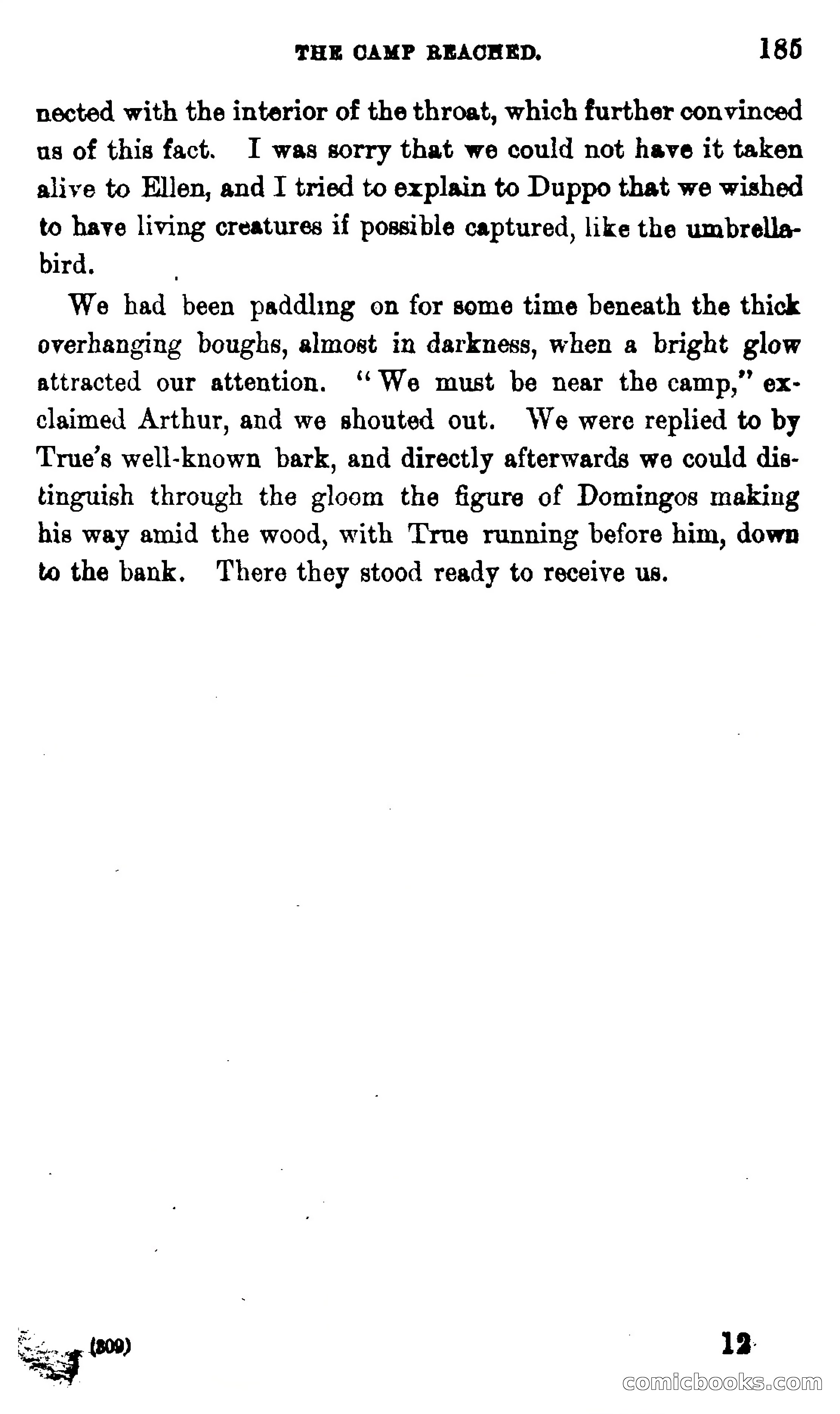 On the Banks of the Amazon — page 179 of 400