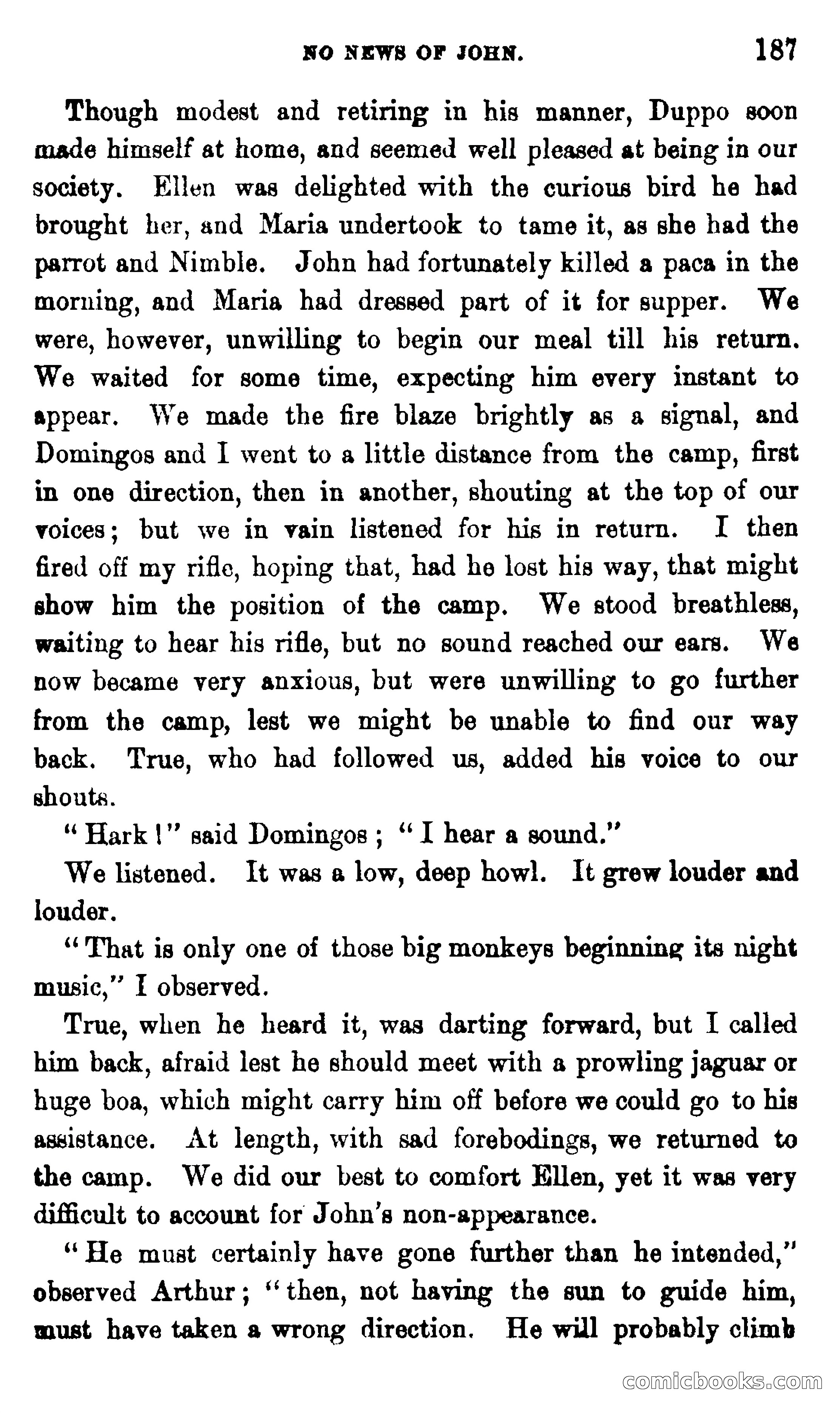 On the Banks of the Amazon — page 181 of 400