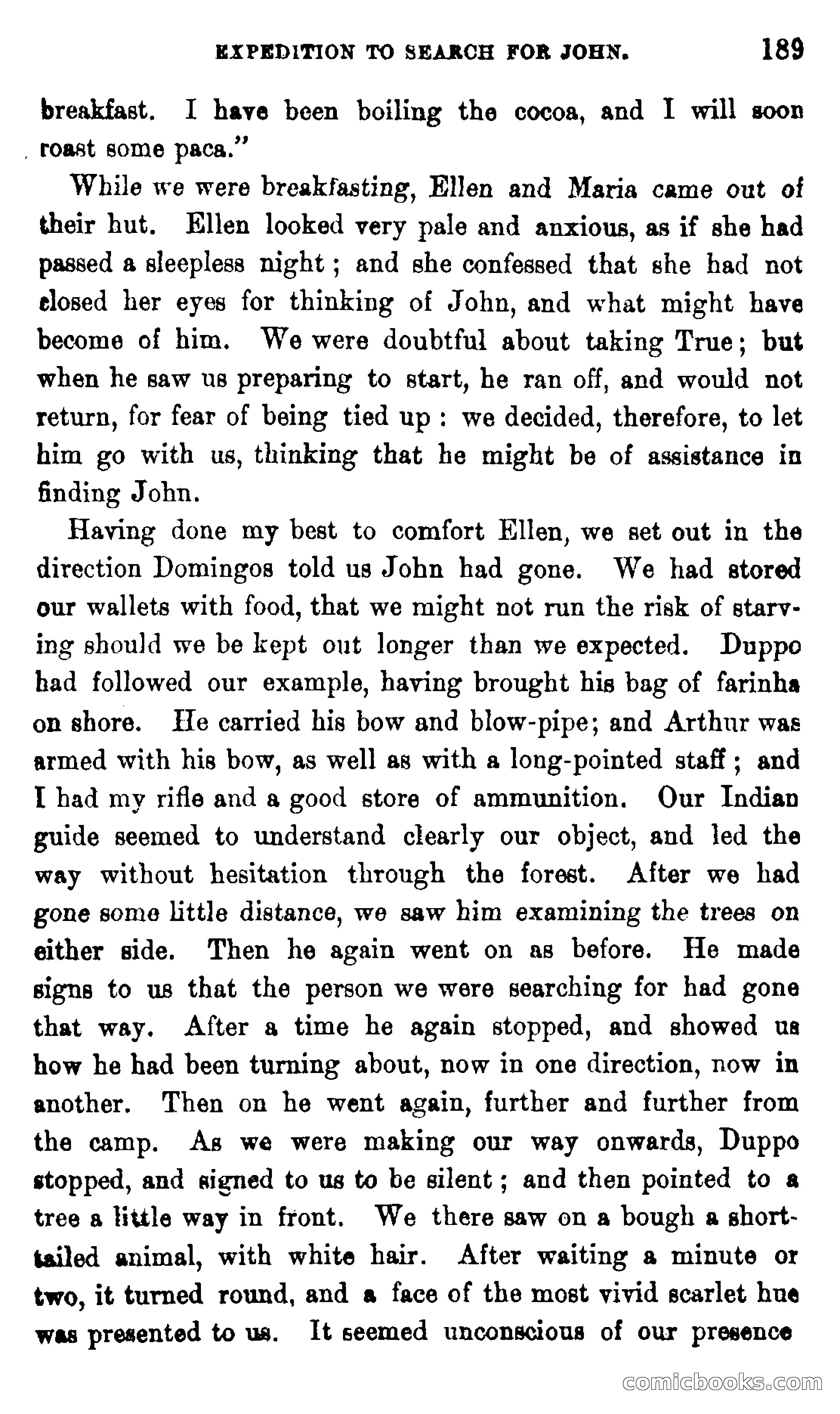 On the Banks of the Amazon — page 183 of 400