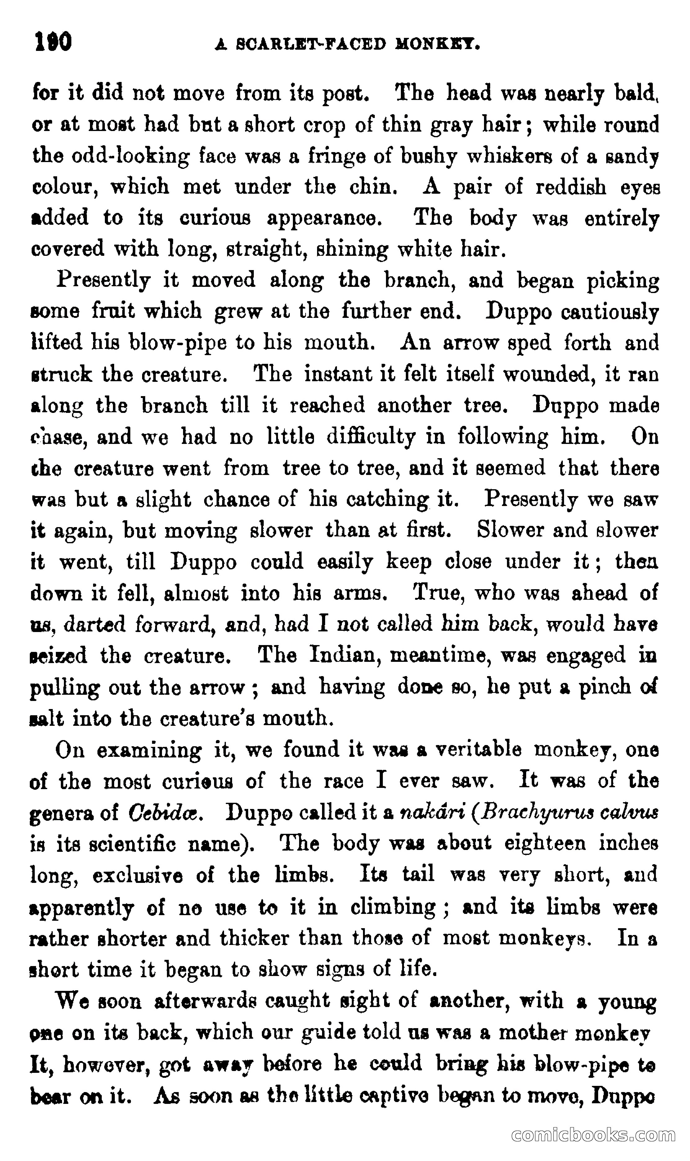 On the Banks of the Amazon — page 184 of 400