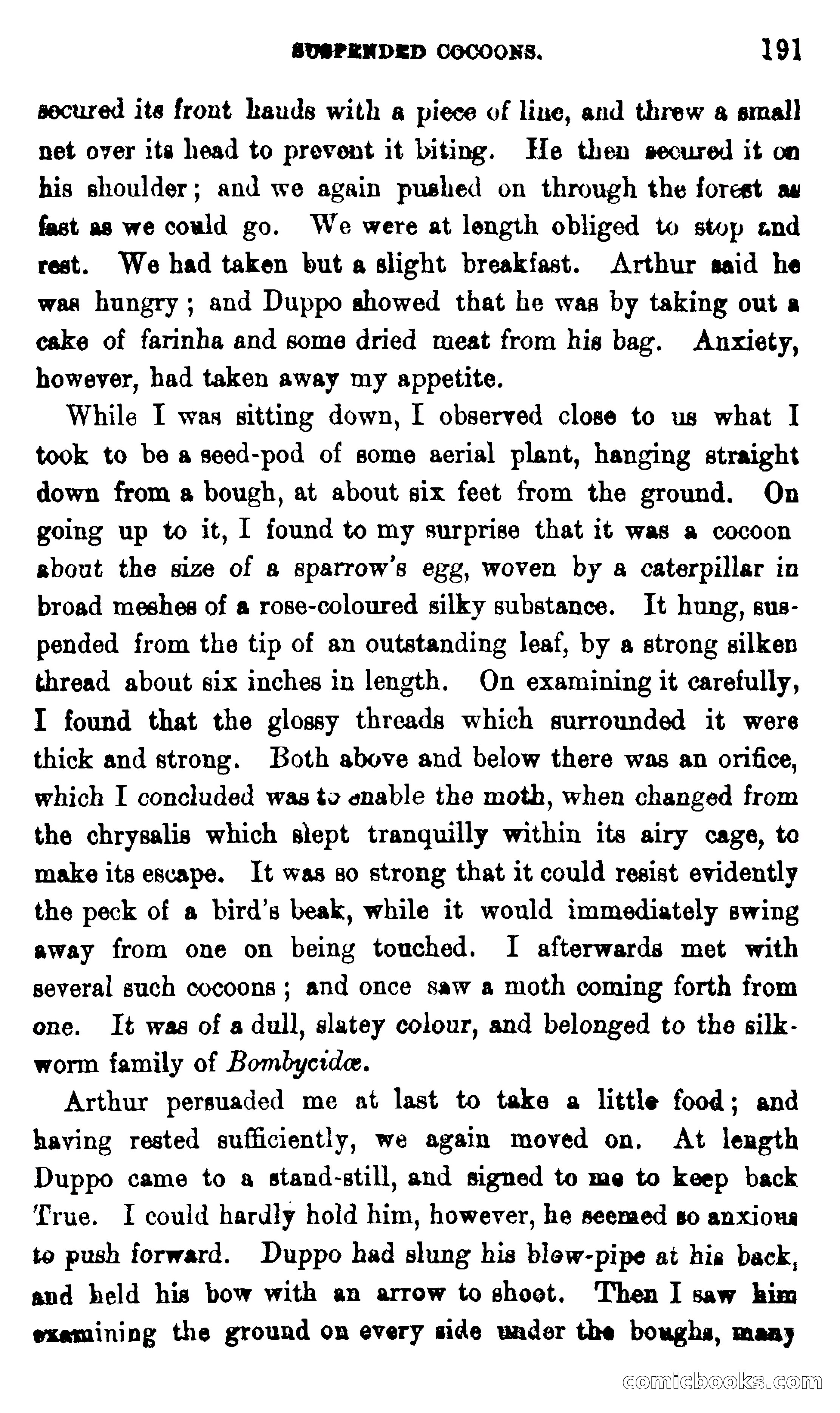 On the Banks of the Amazon — page 185 of 400