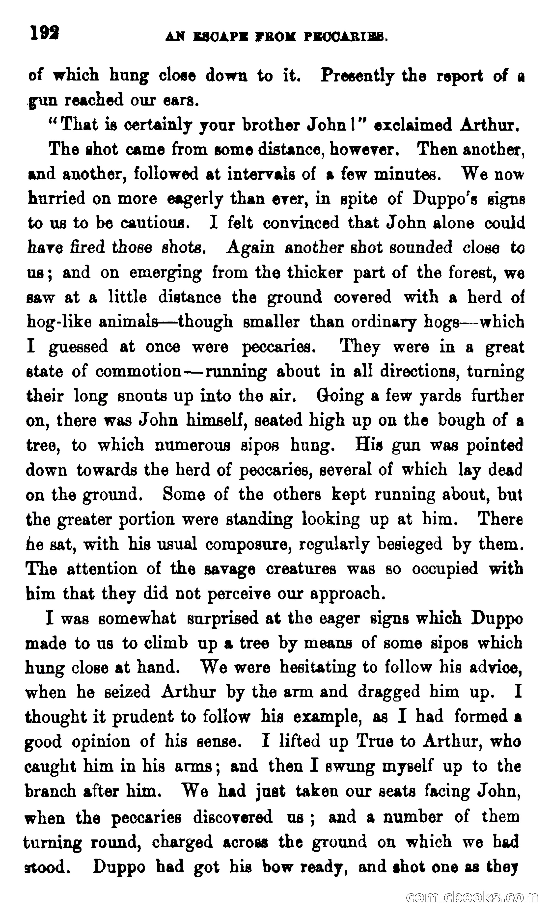 On the Banks of the Amazon — page 186 of 400