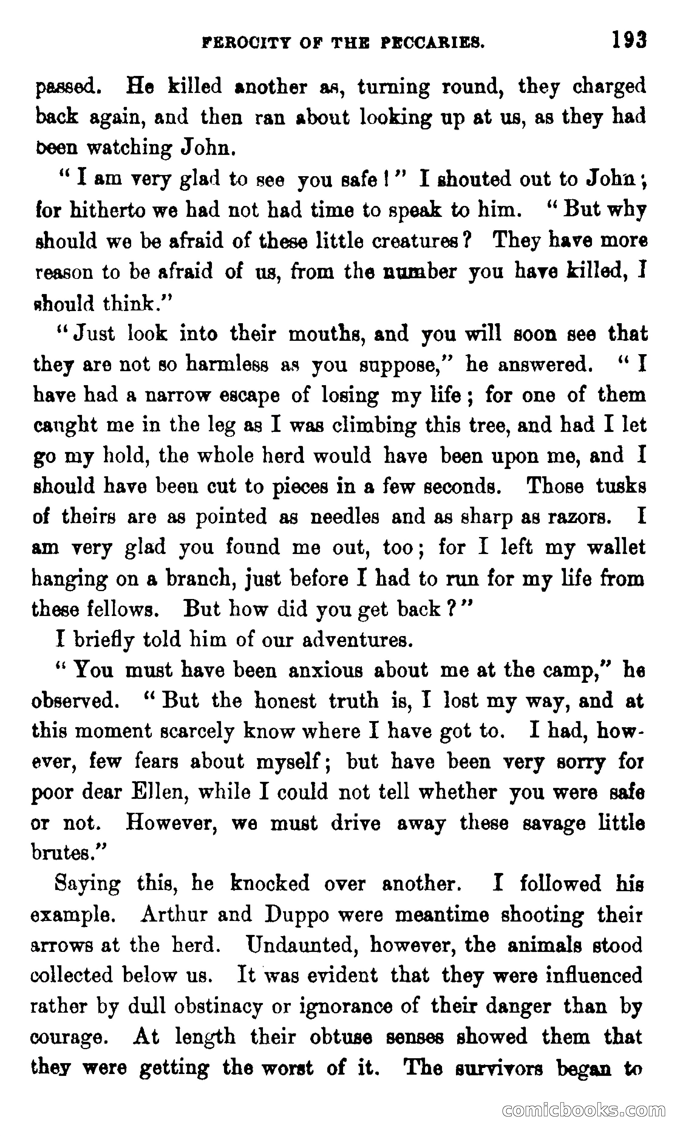On the Banks of the Amazon — page 187 of 400