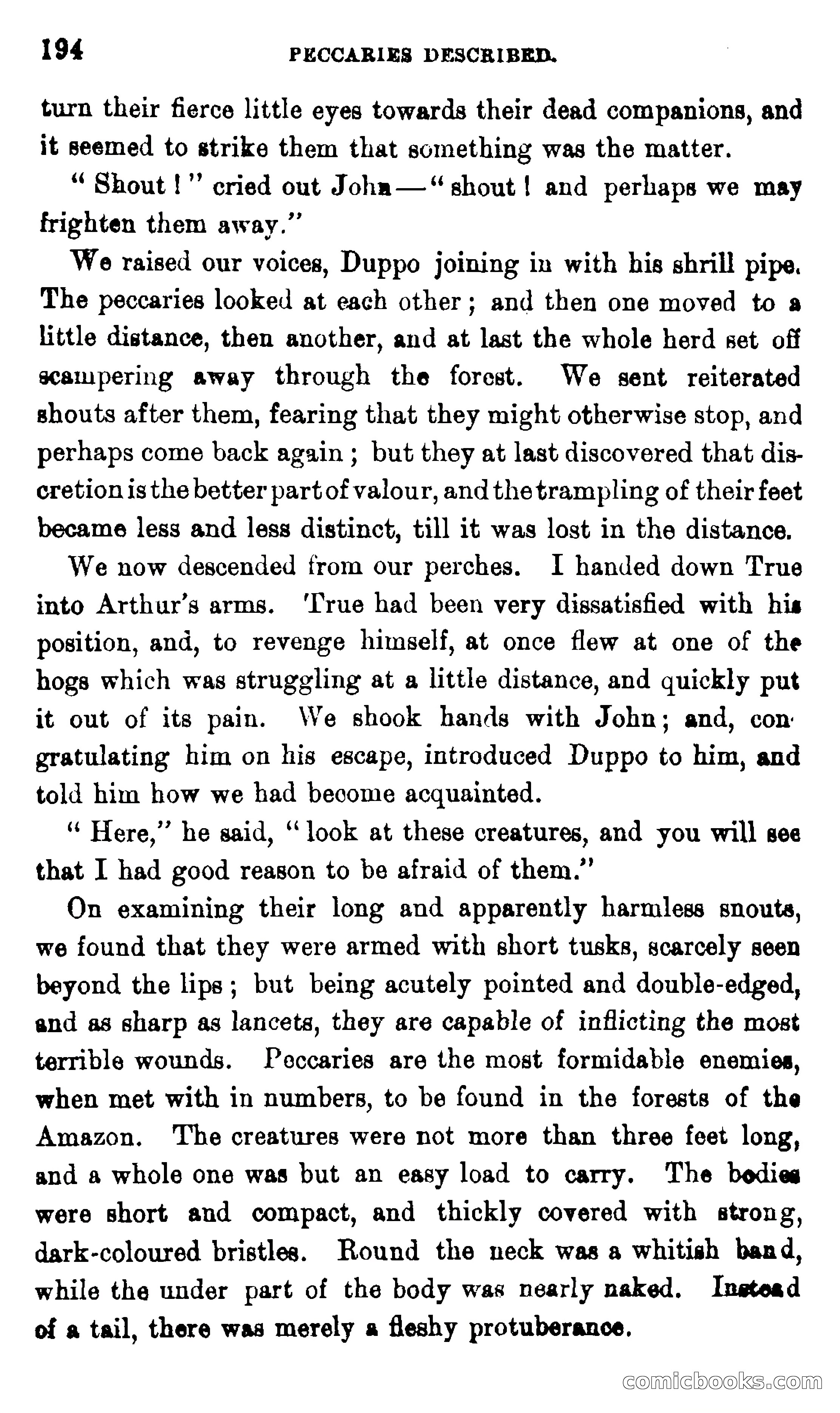 On the Banks of the Amazon — page 188 of 400