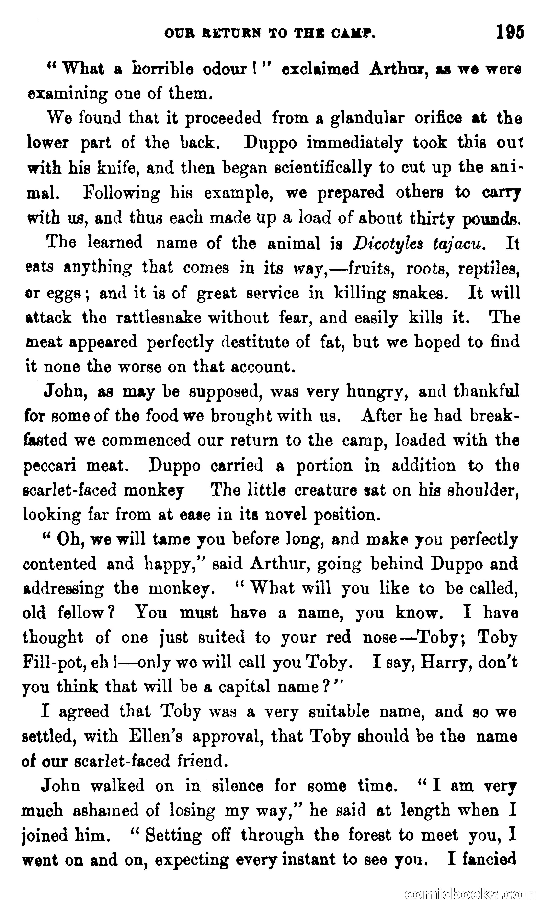 On the Banks of the Amazon — page 189 of 400