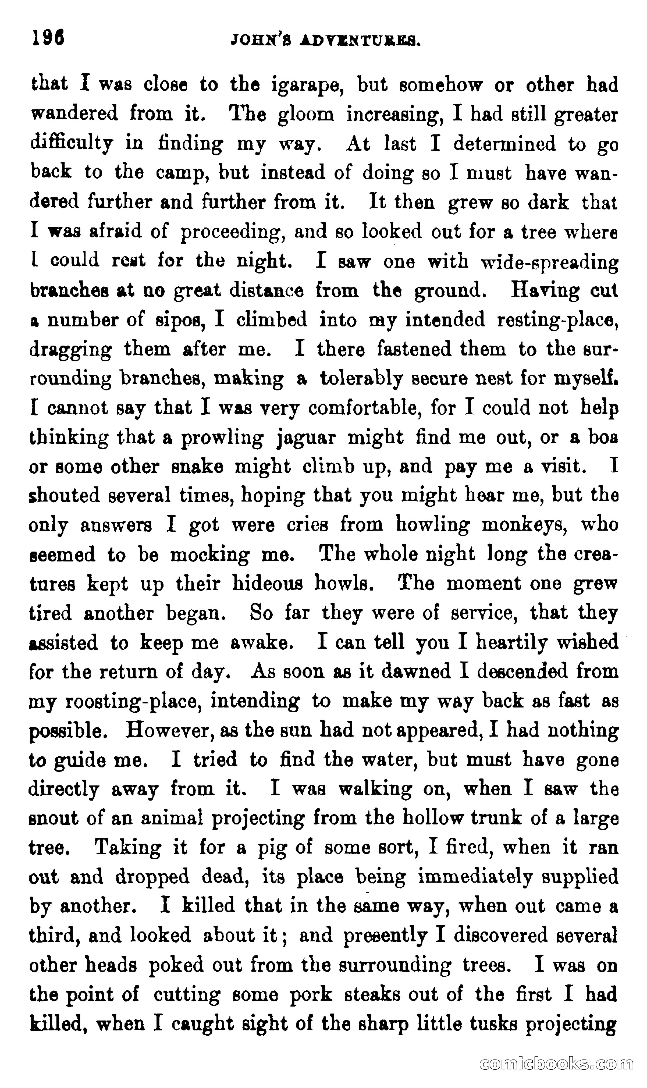 On the Banks of the Amazon — page 190 of 400
