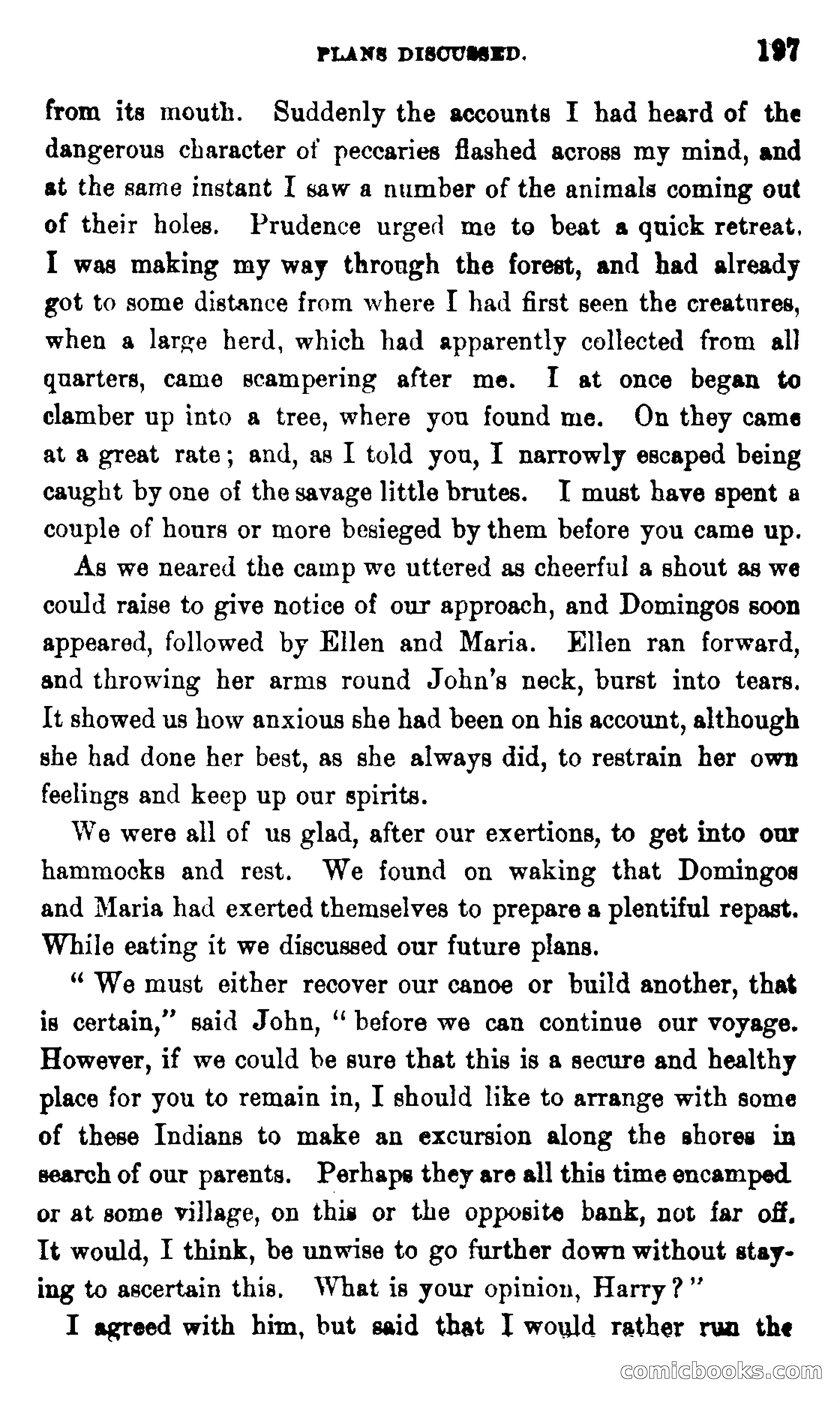 On the Banks of the Amazon — page 191 of 400