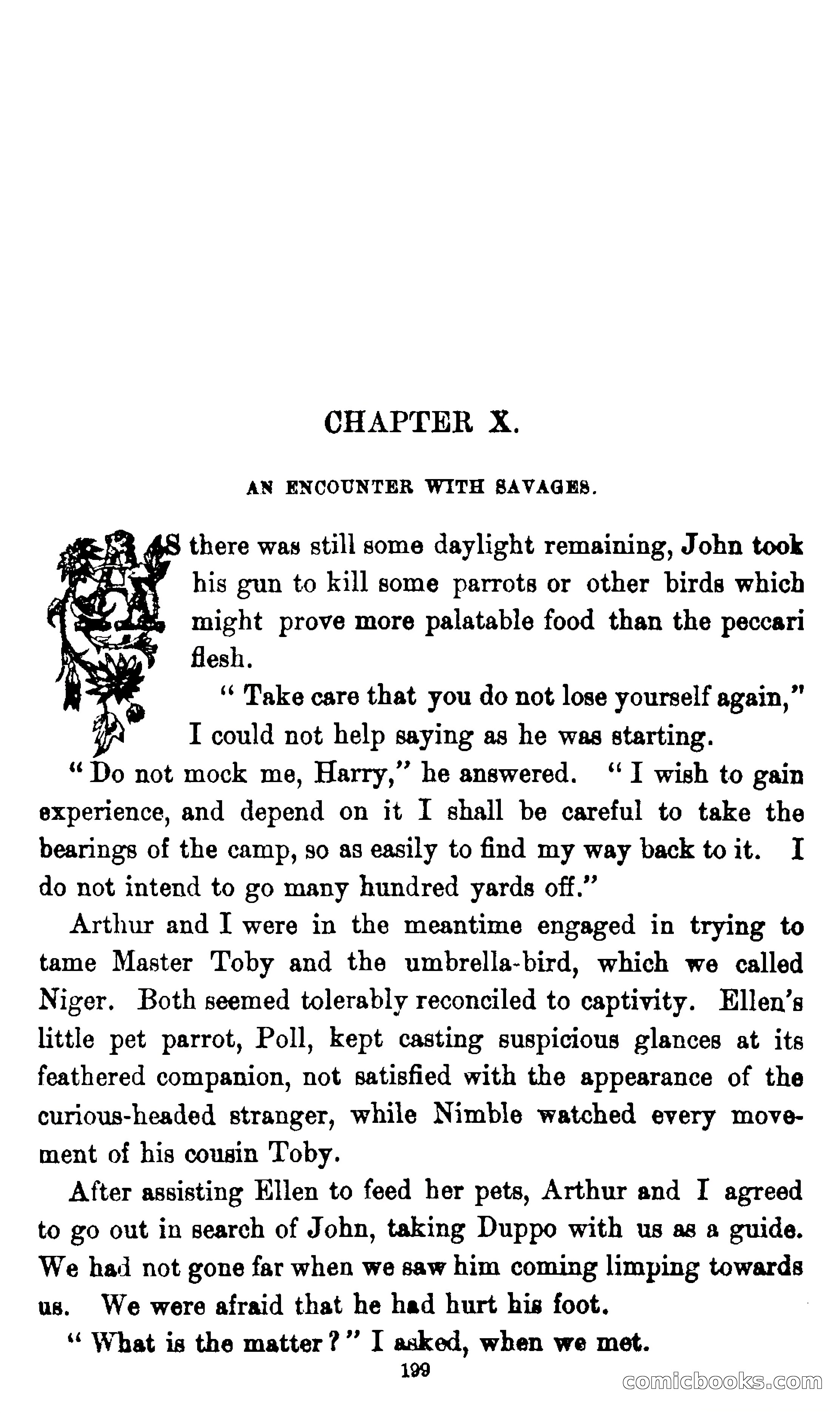 On the Banks of the Amazon — page 193 of 400