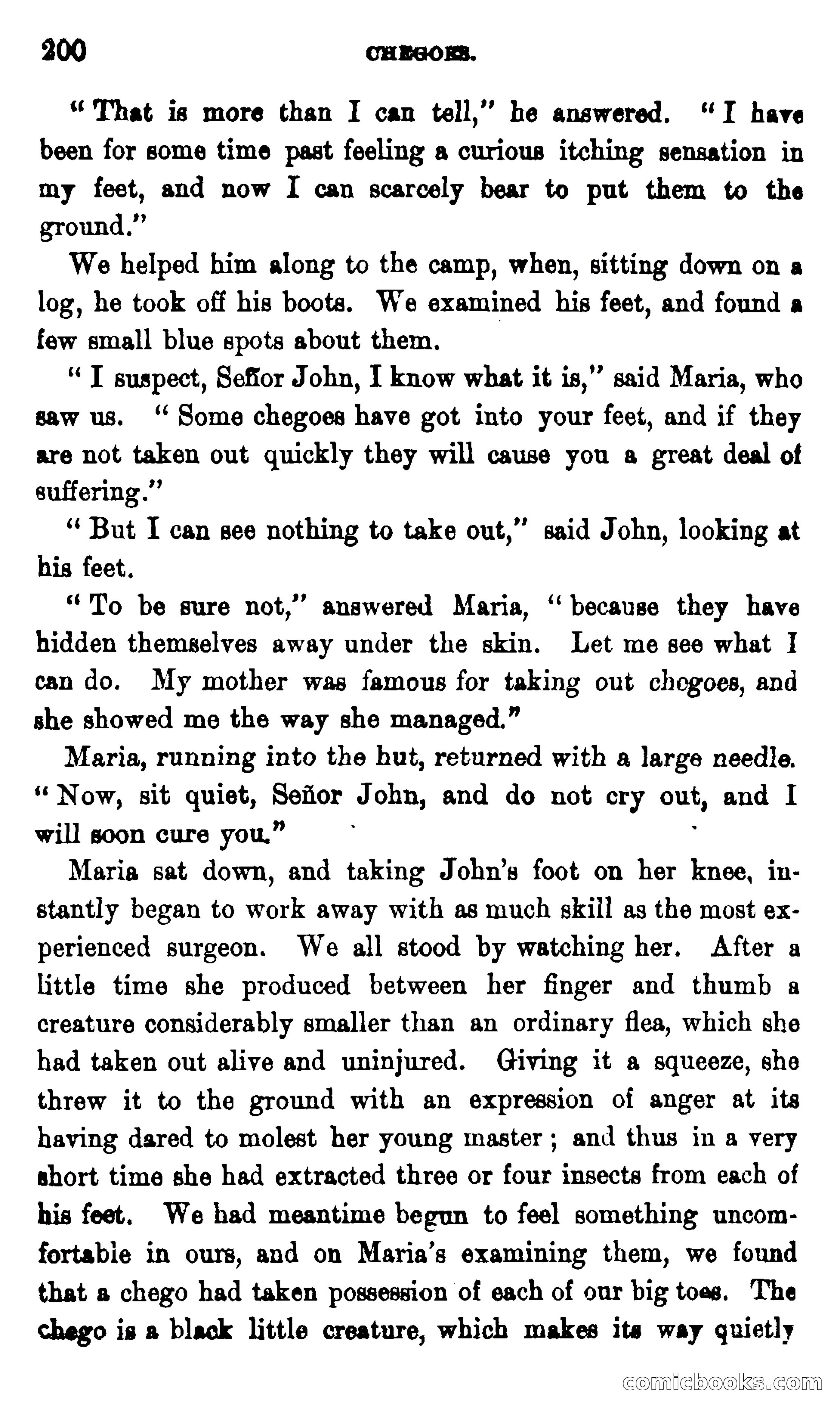 On the Banks of the Amazon — page 194 of 400