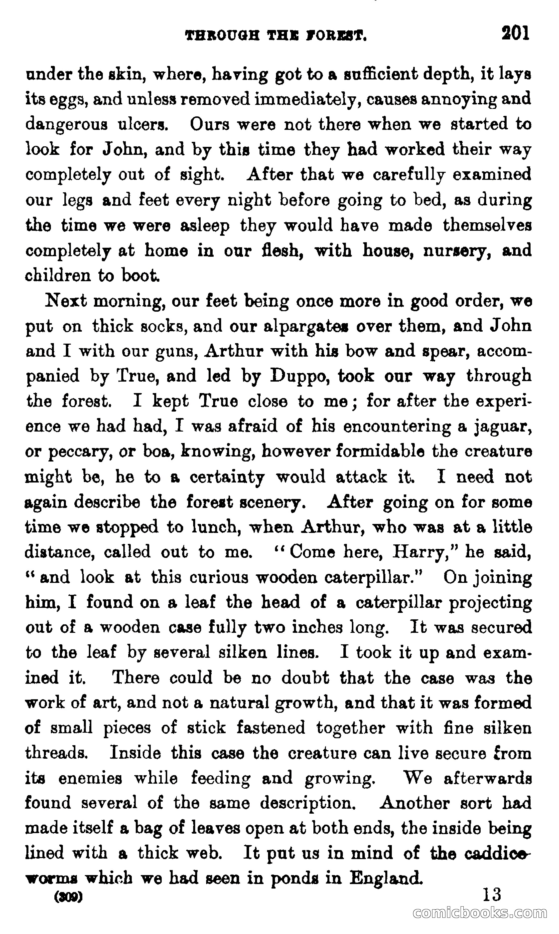 On the Banks of the Amazon — page 195 of 400