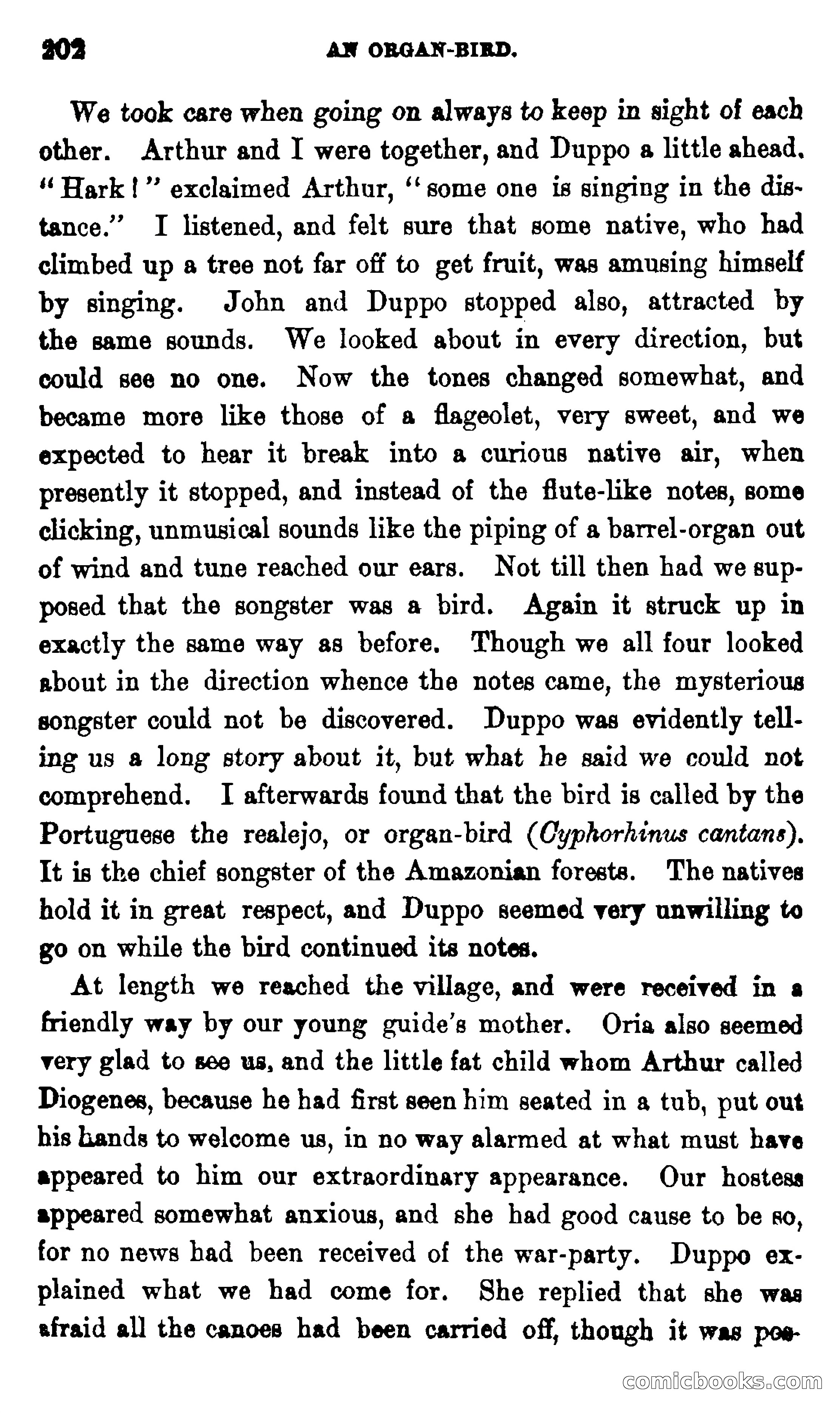 On the Banks of the Amazon — page 196 of 400
