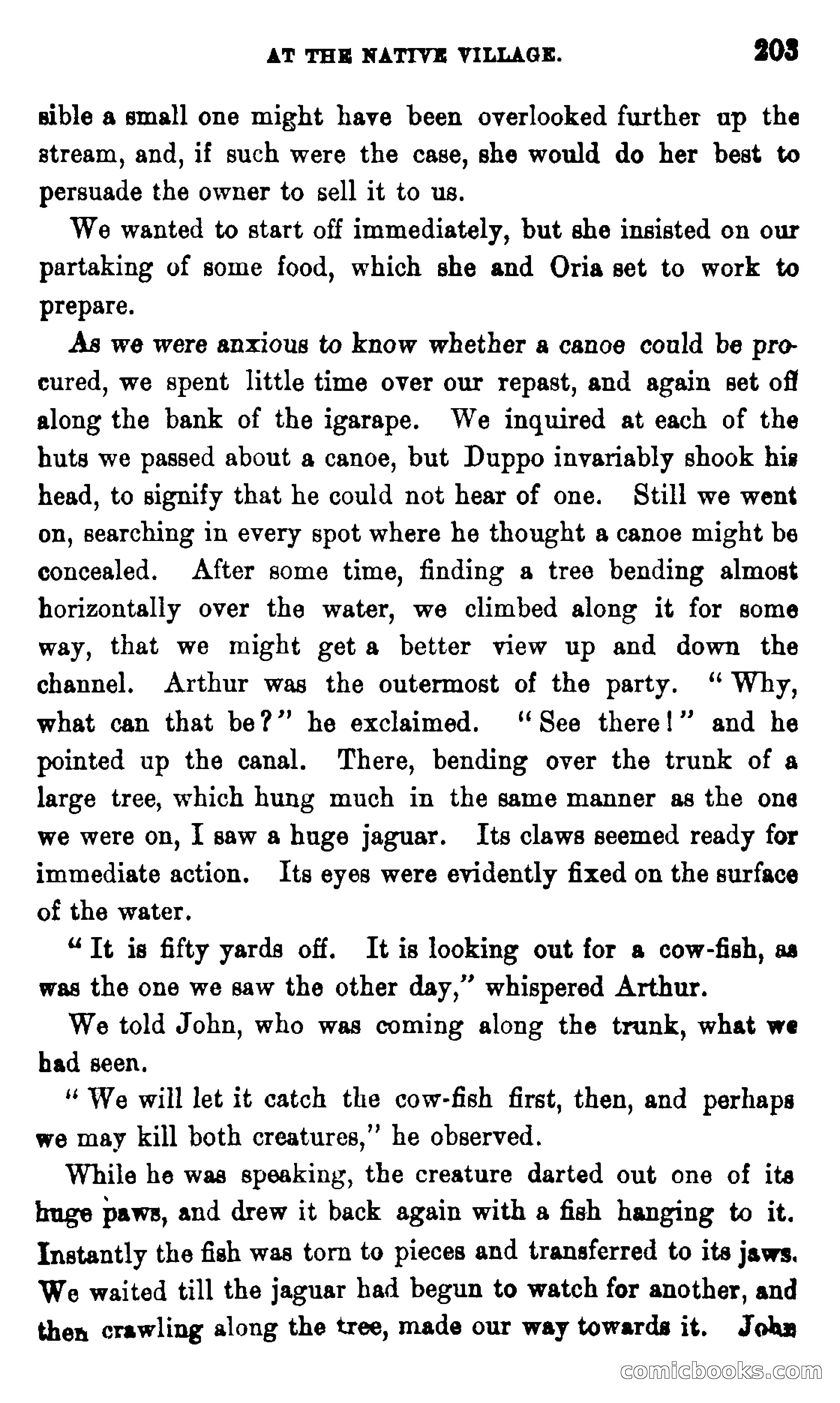 On the Banks of the Amazon — page 197 of 400
