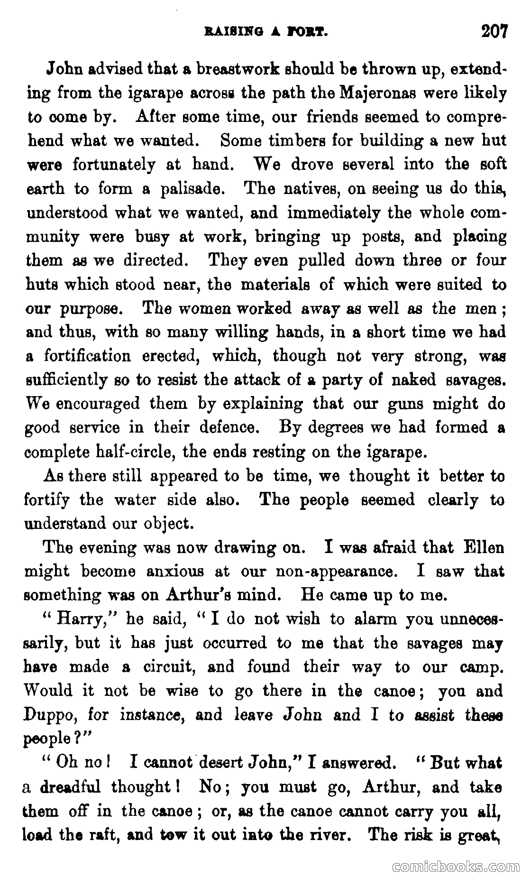 On the Banks of the Amazon — page 201 of 400