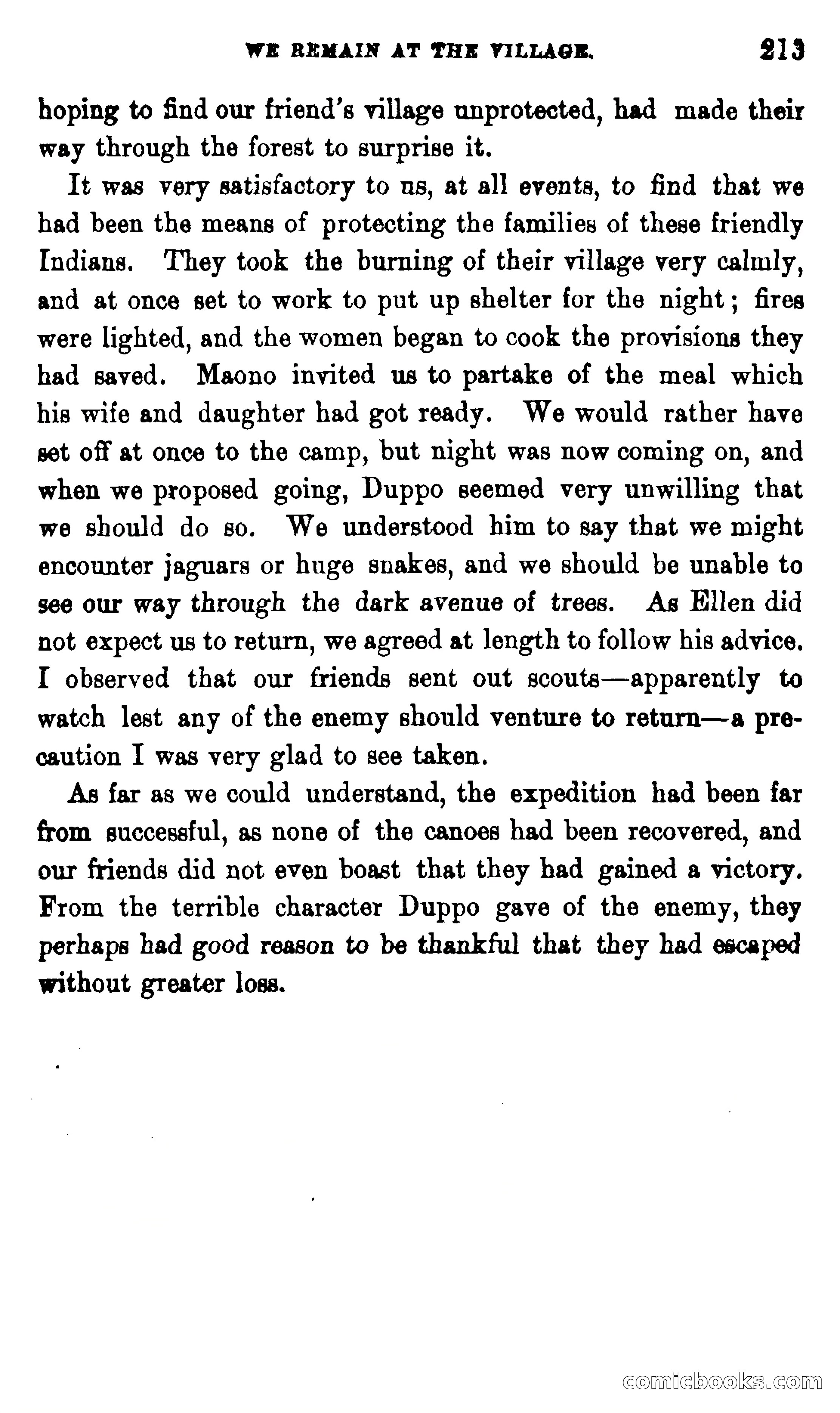 On the Banks of the Amazon — page 207 of 400
