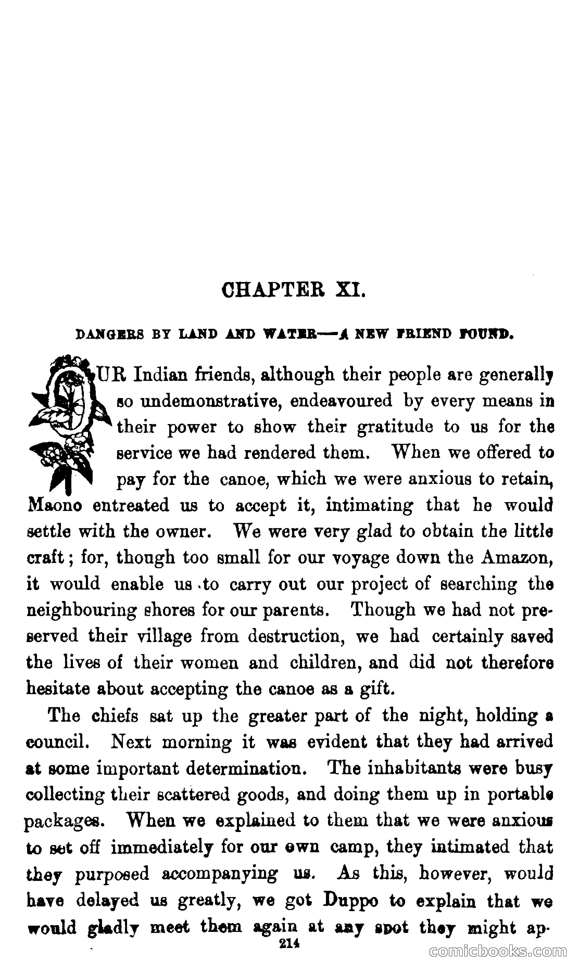 On the Banks of the Amazon — page 208 of 400