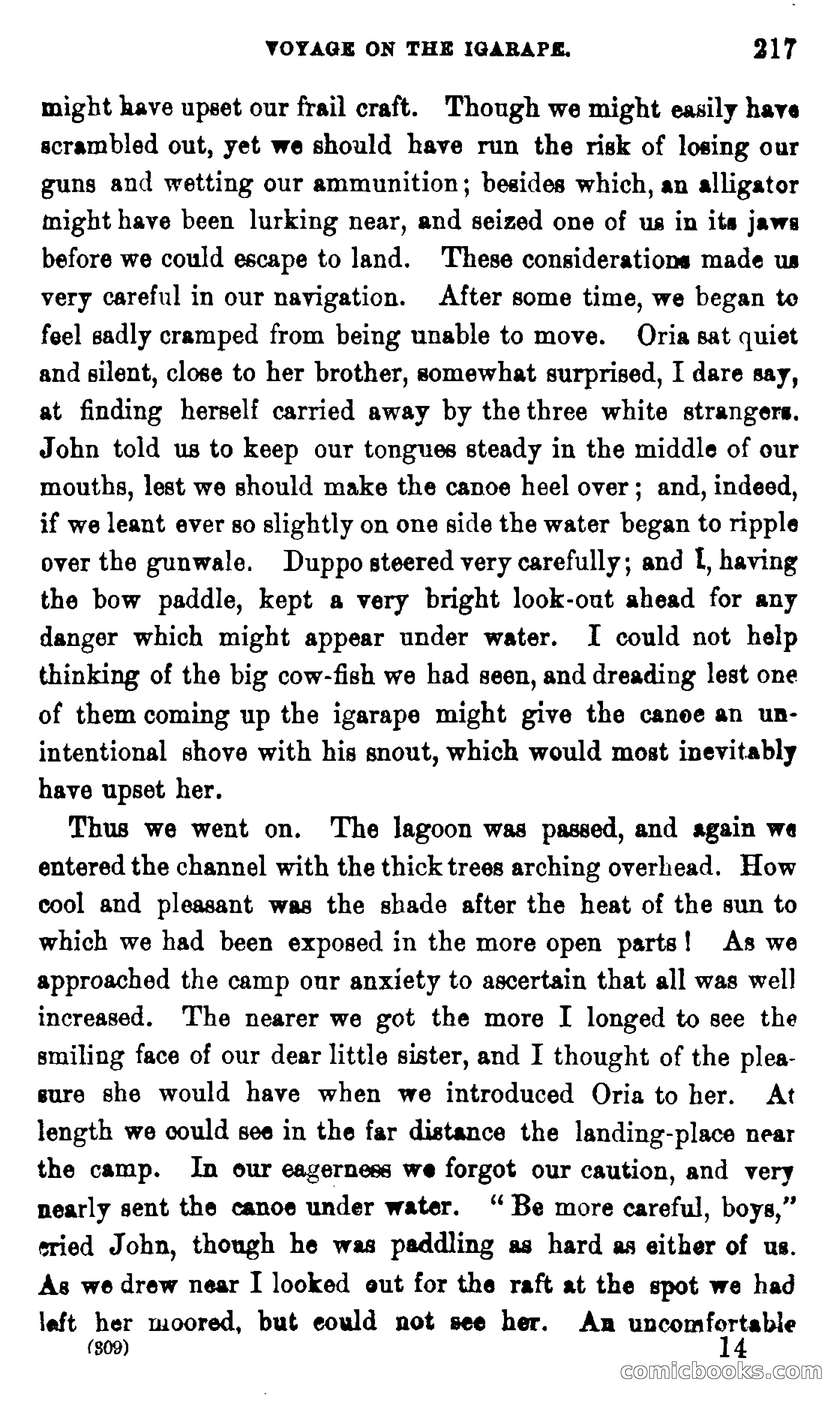 On the Banks of the Amazon — page 211 of 400