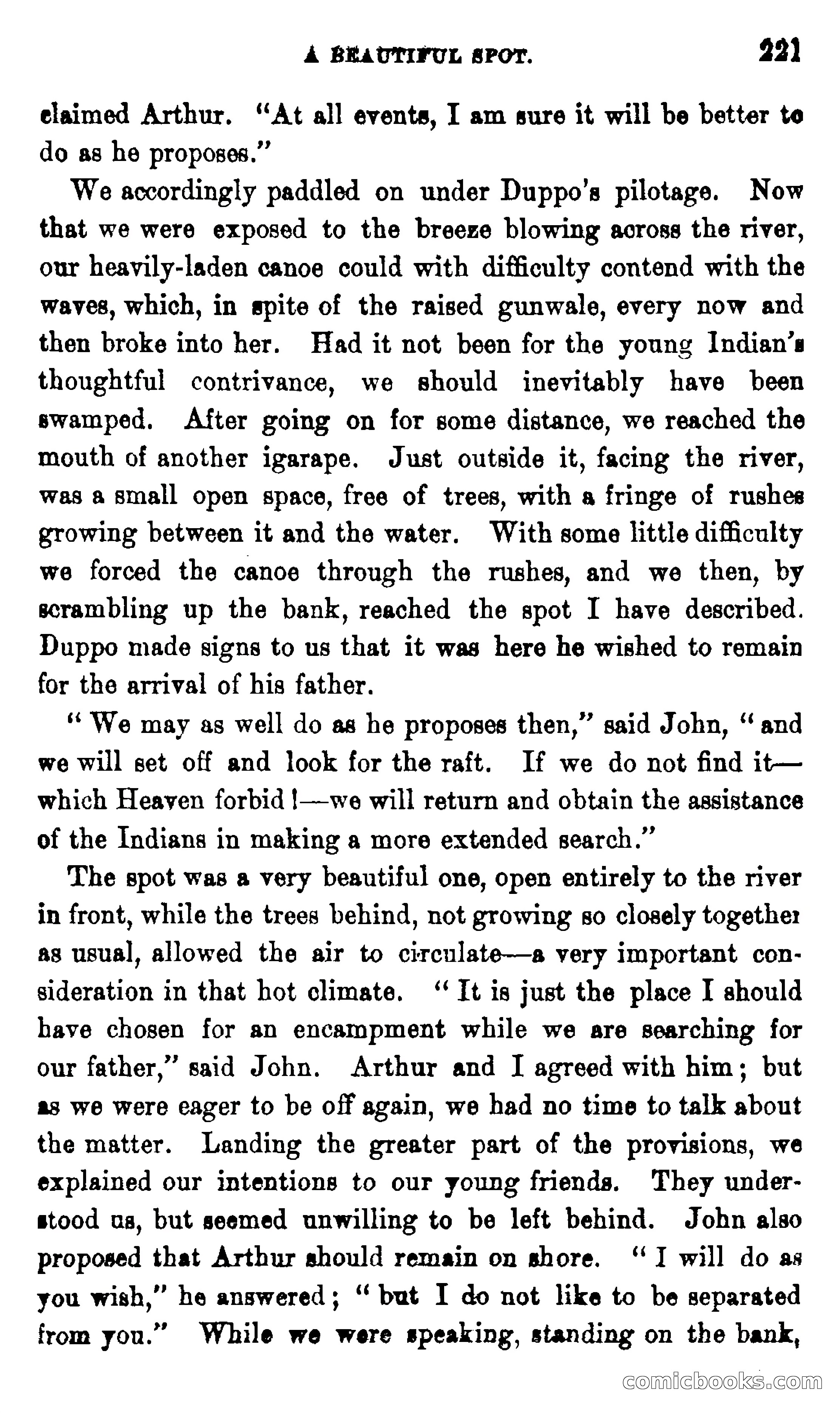 On the Banks of the Amazon — page 215 of 400