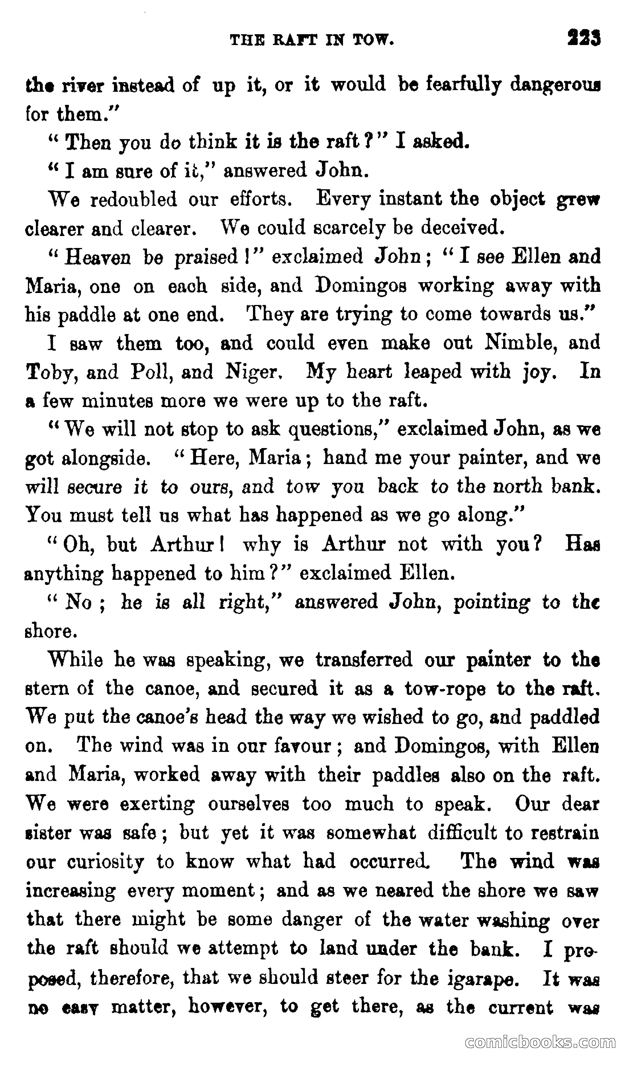 On the Banks of the Amazon — page 217 of 400