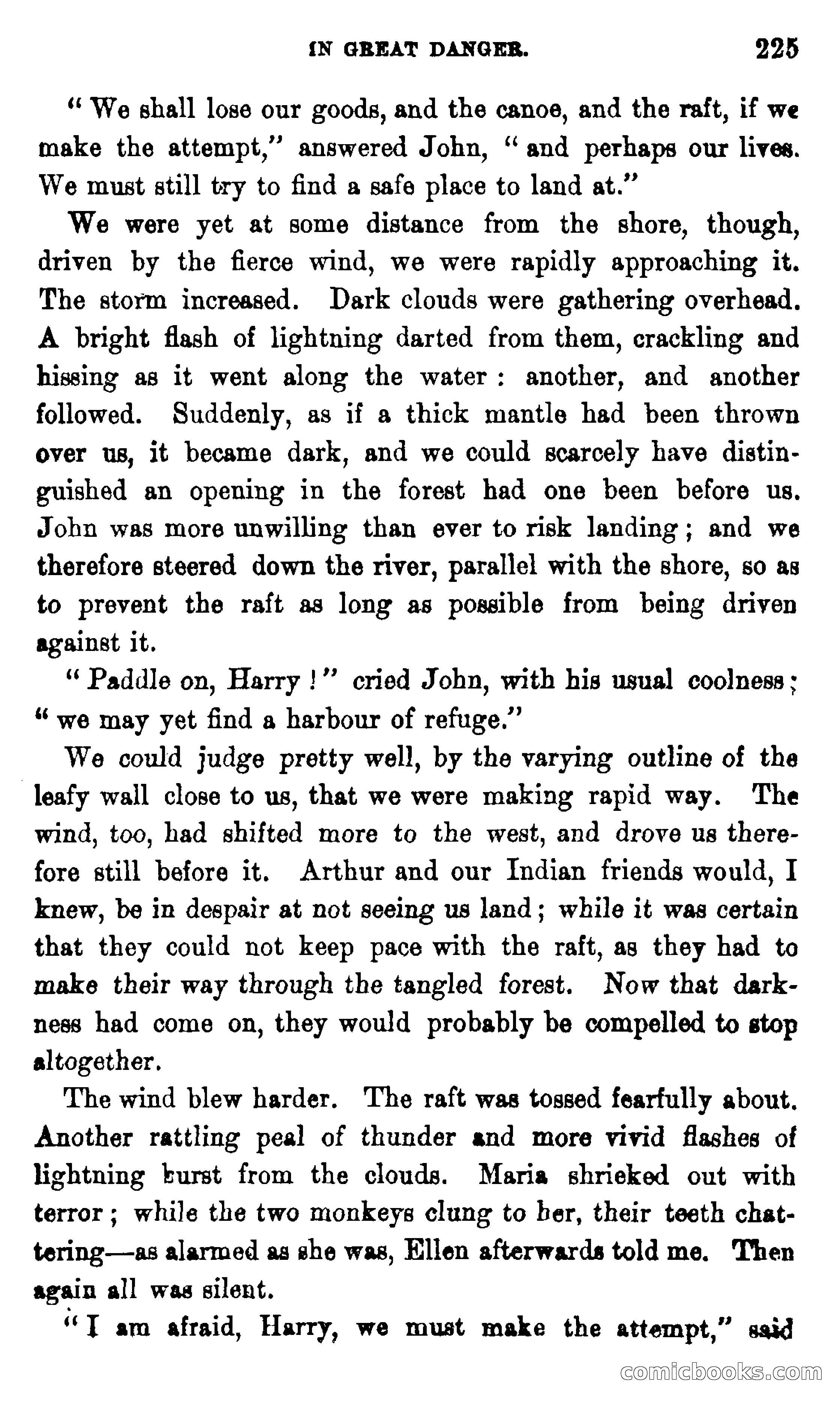 On the Banks of the Amazon — page 219 of 400