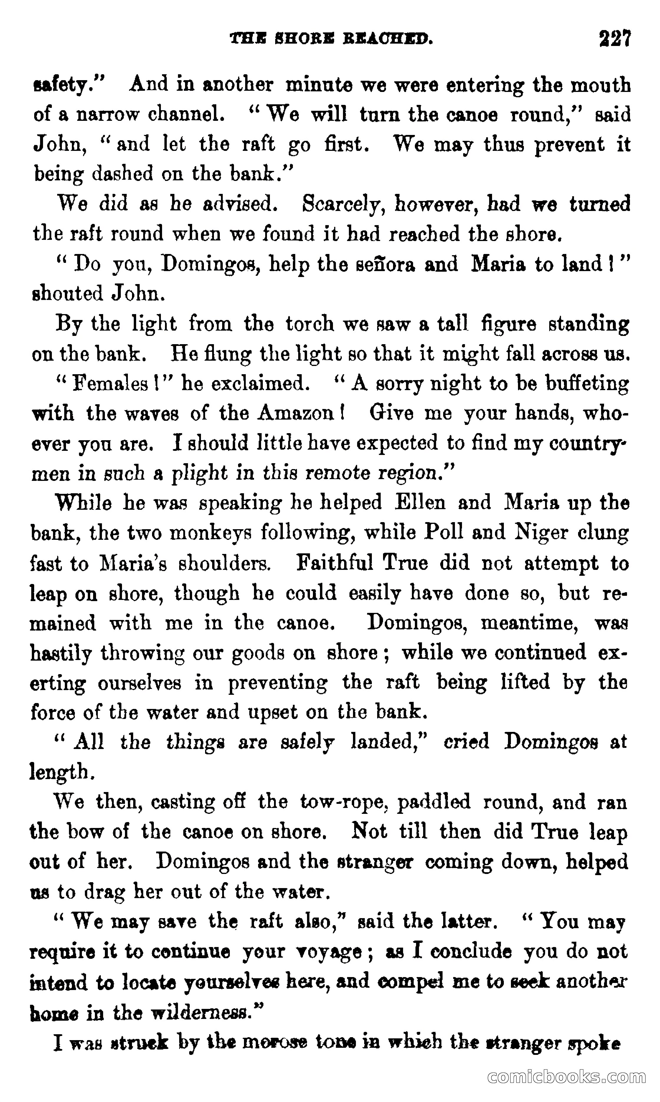 On the Banks of the Amazon — page 221 of 400