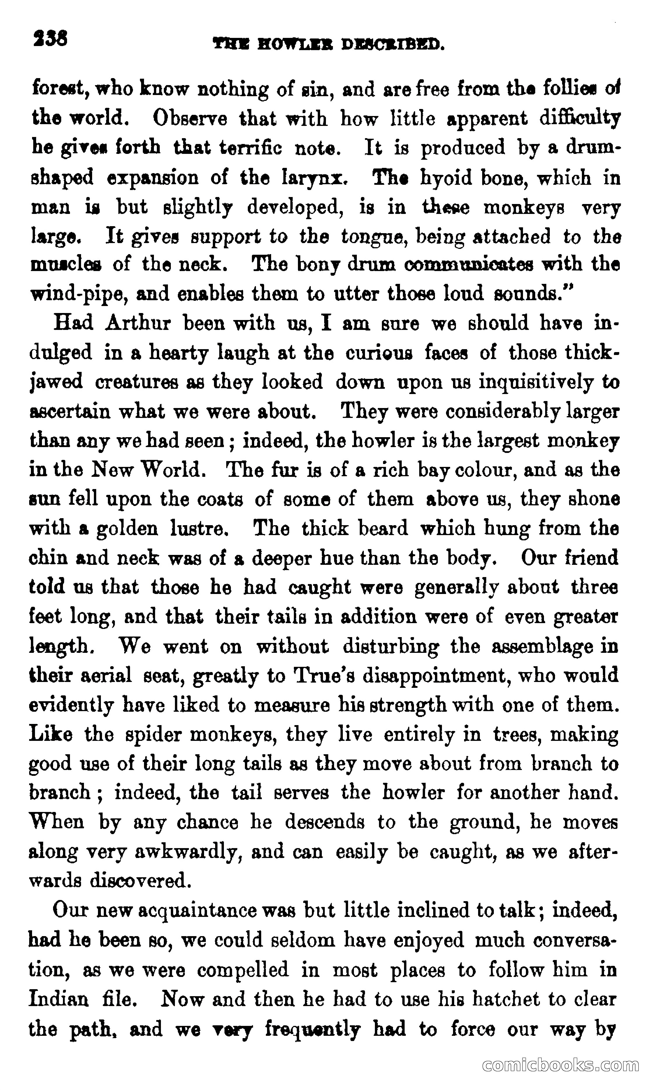 On the Banks of the Amazon — page 232 of 400