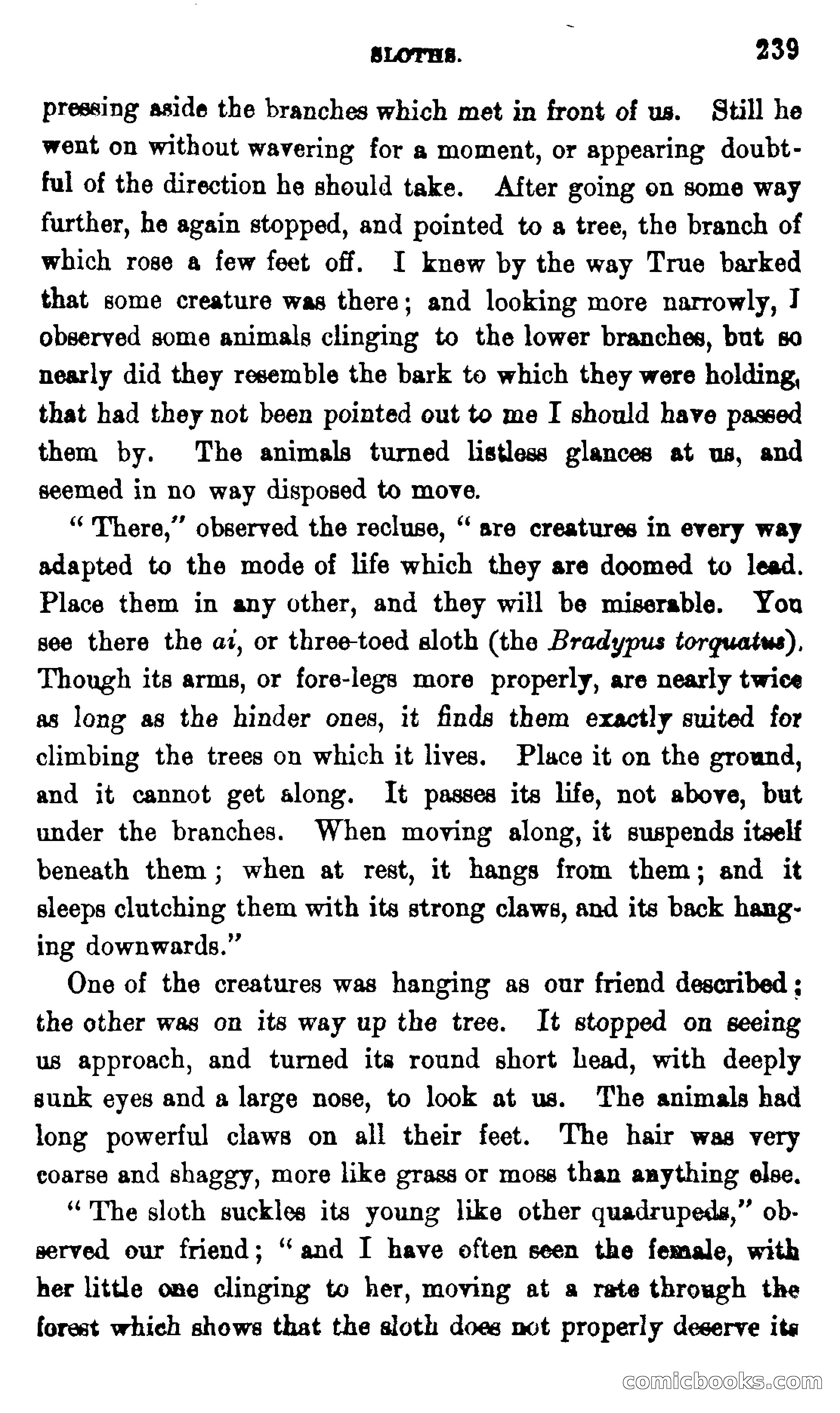 On the Banks of the Amazon — page 233 of 400