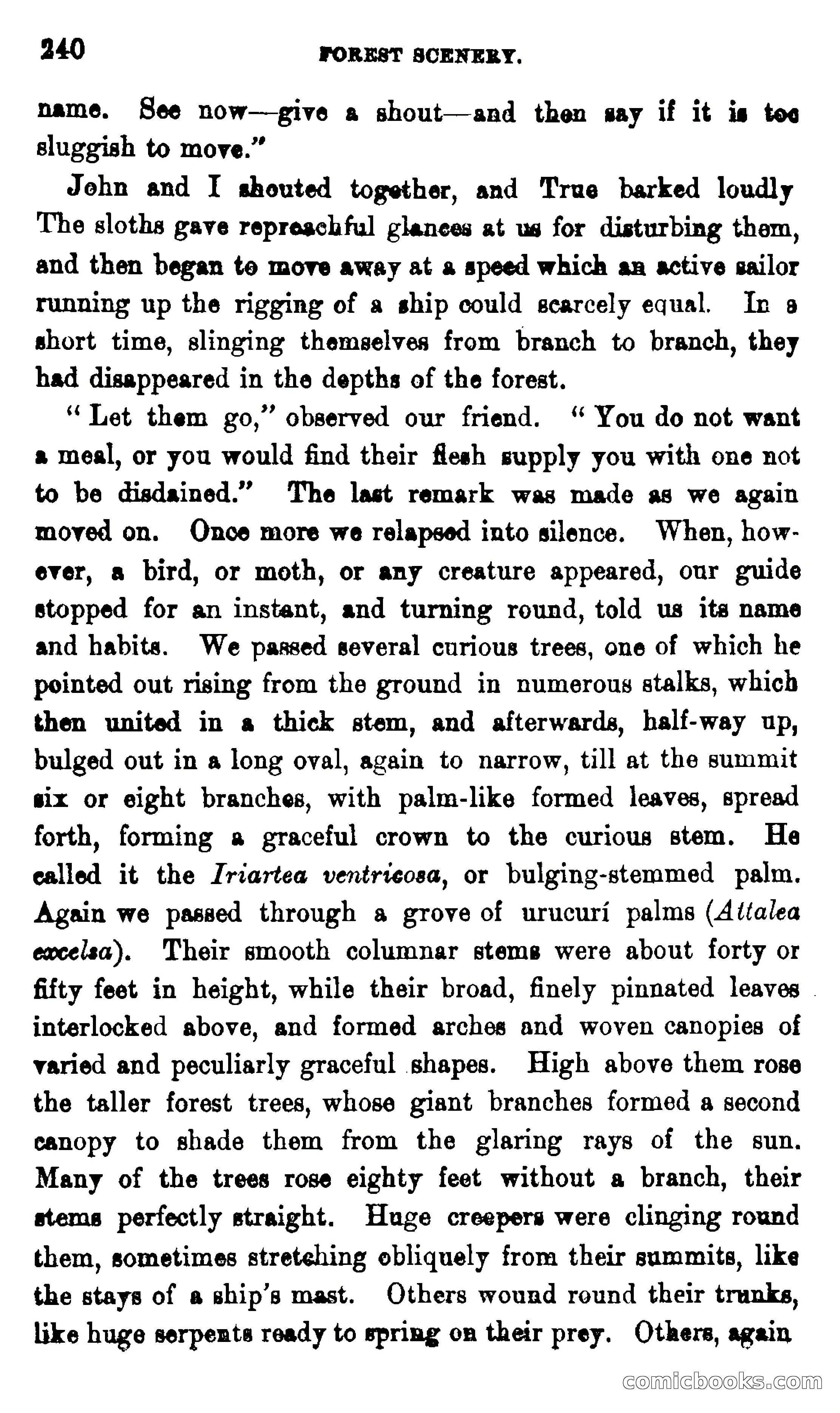 On the Banks of the Amazon — page 234 of 400