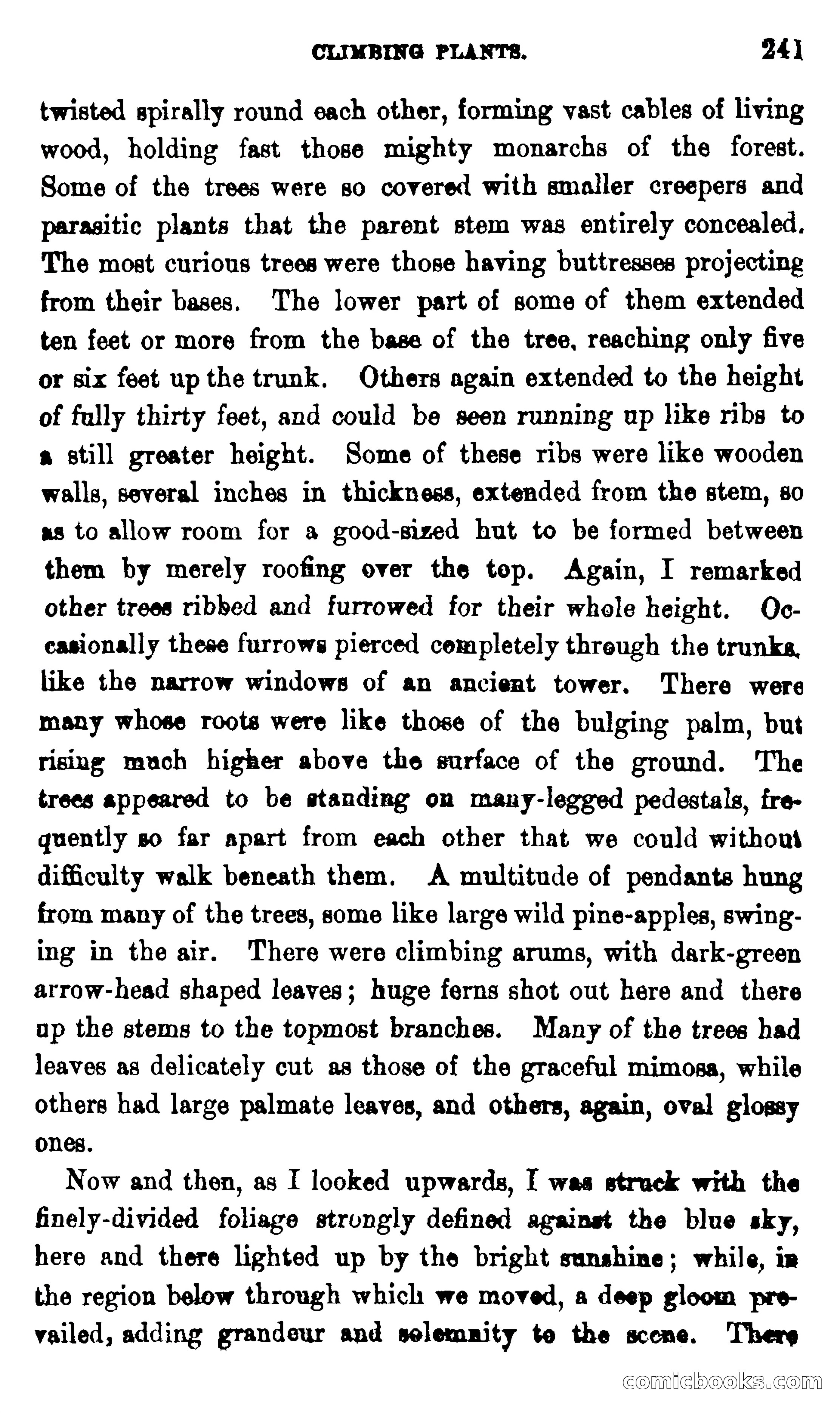 On the Banks of the Amazon — page 235 of 400