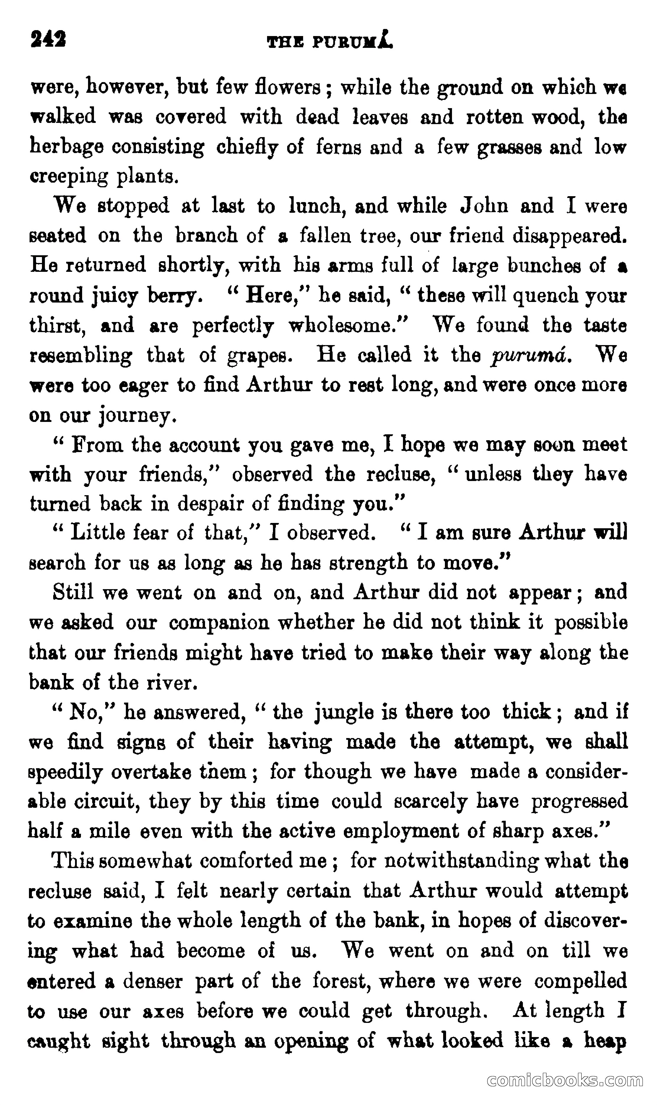 On the Banks of the Amazon — page 236 of 400