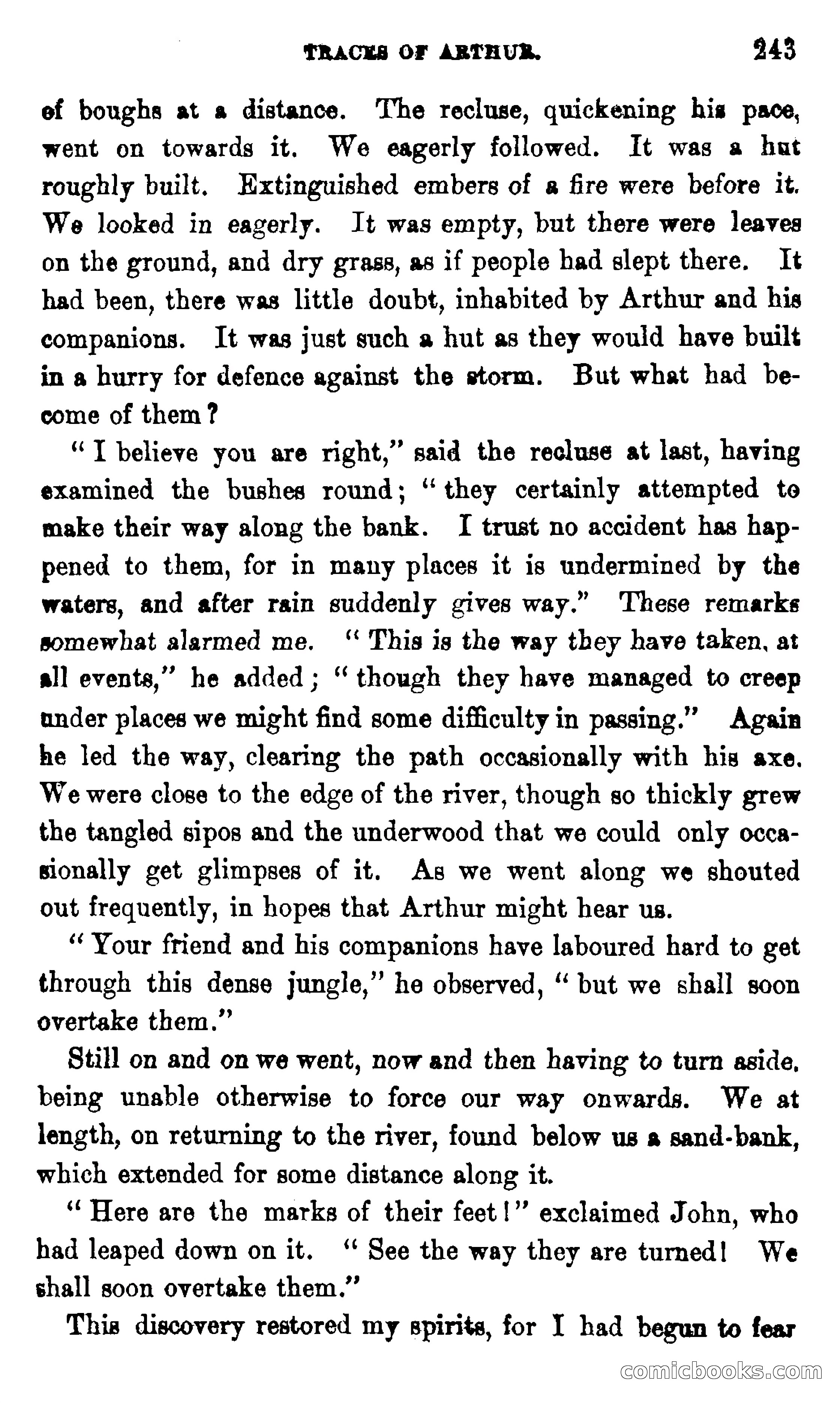 On the Banks of the Amazon — page 237 of 400