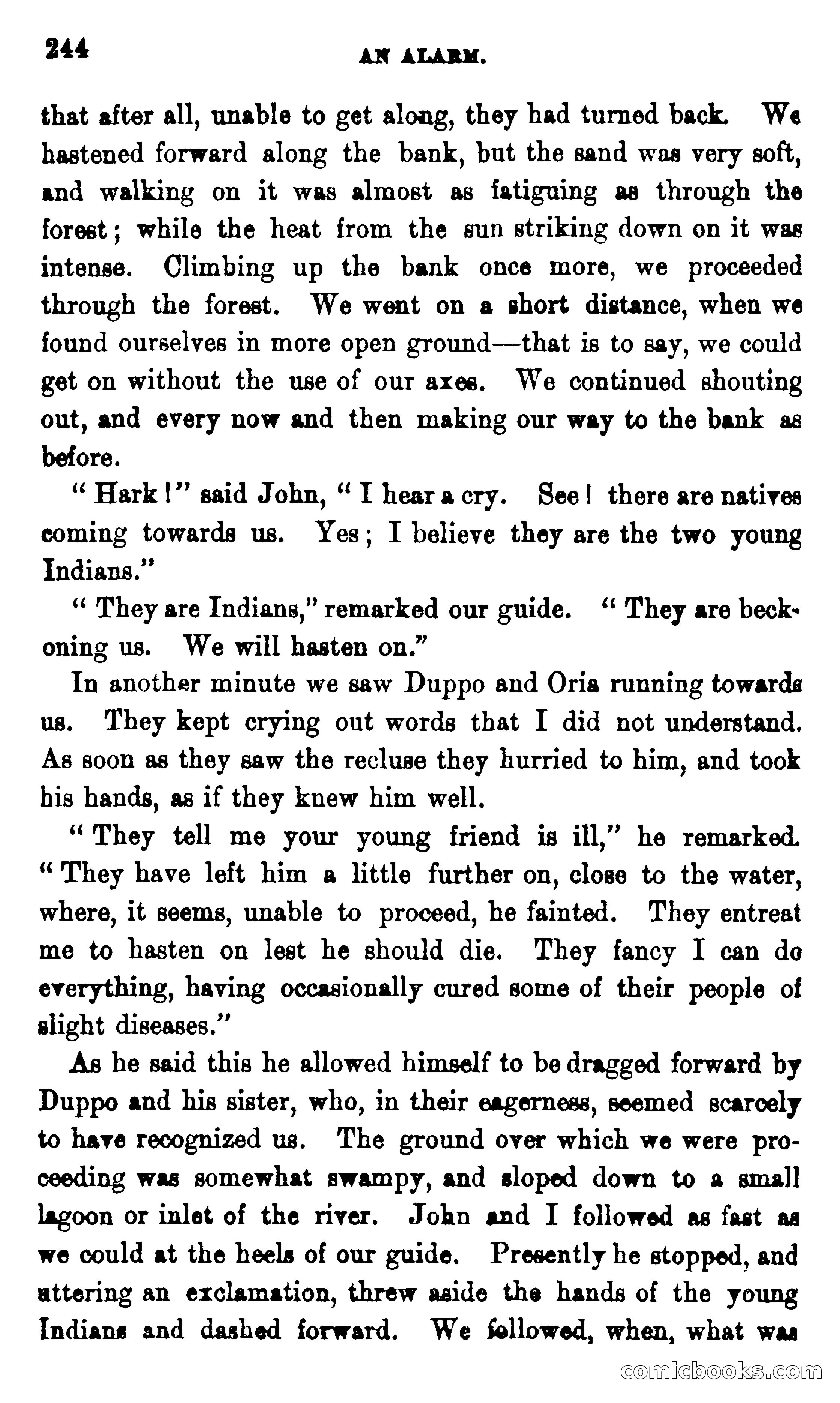 On the Banks of the Amazon — page 238 of 400