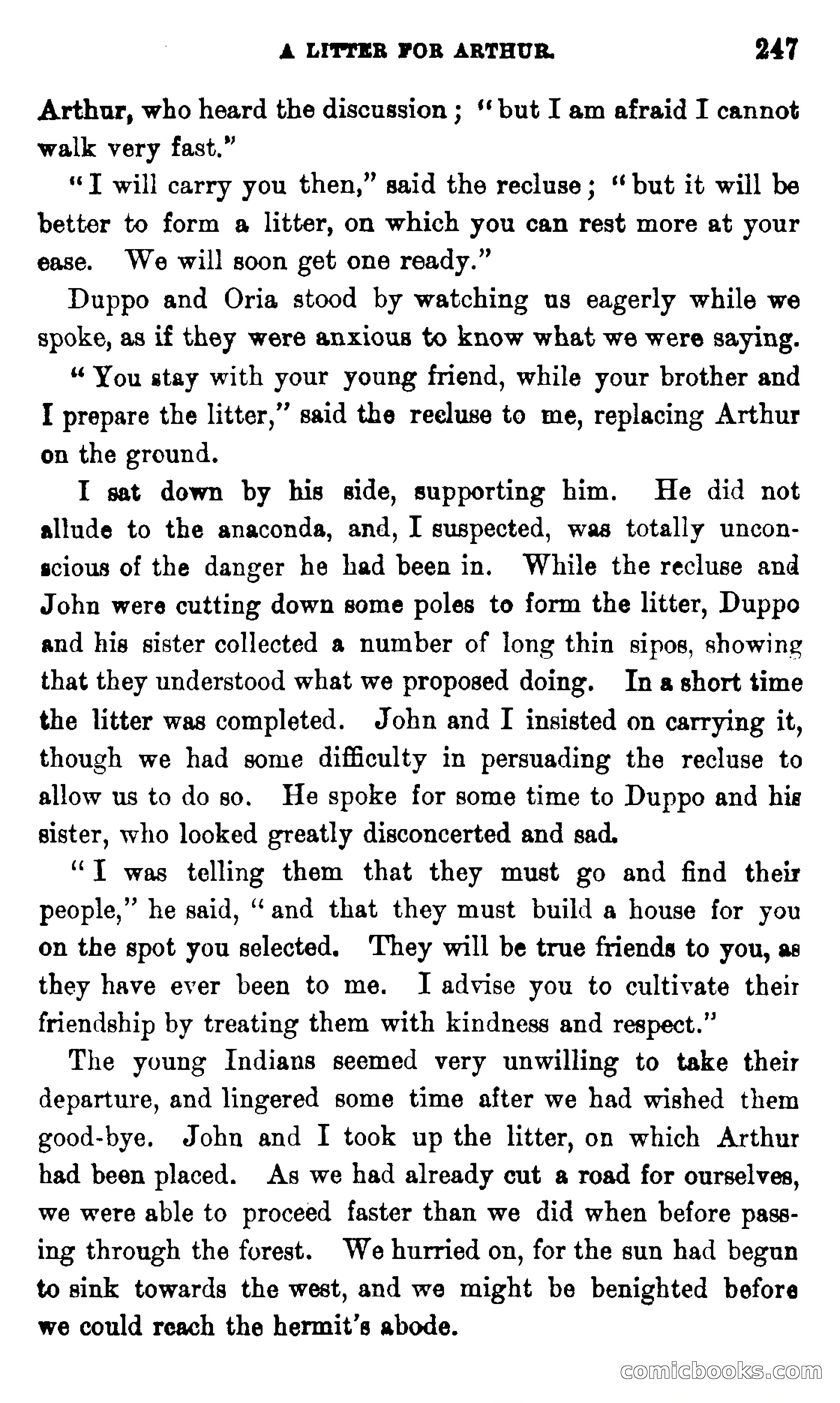 On the Banks of the Amazon — page 241 of 400