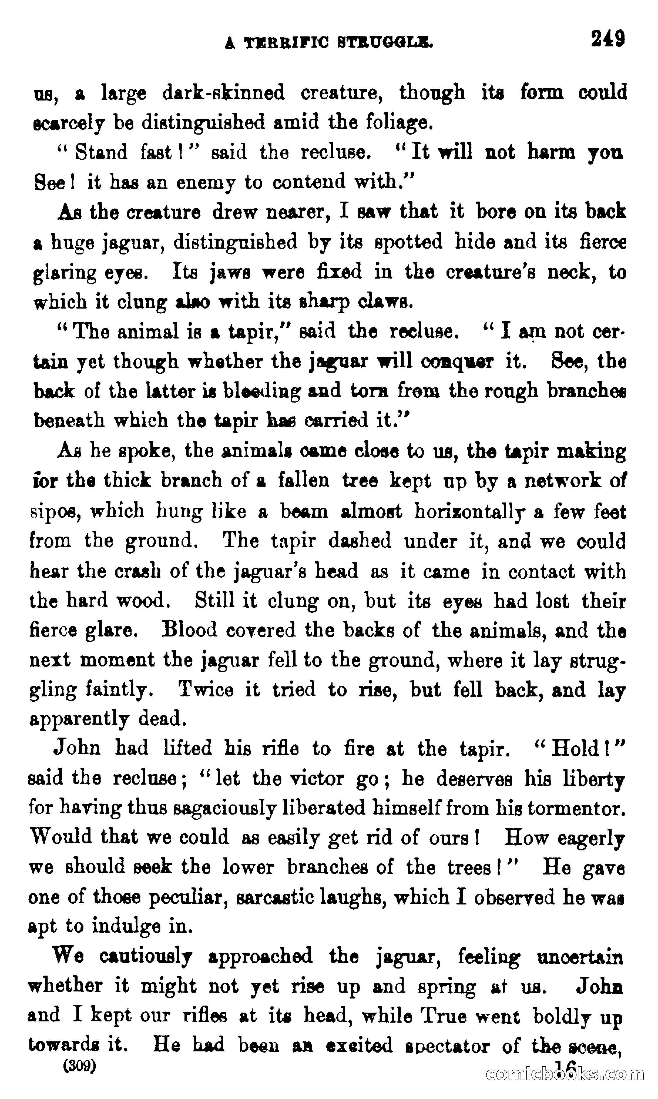 On the Banks of the Amazon — page 243 of 400