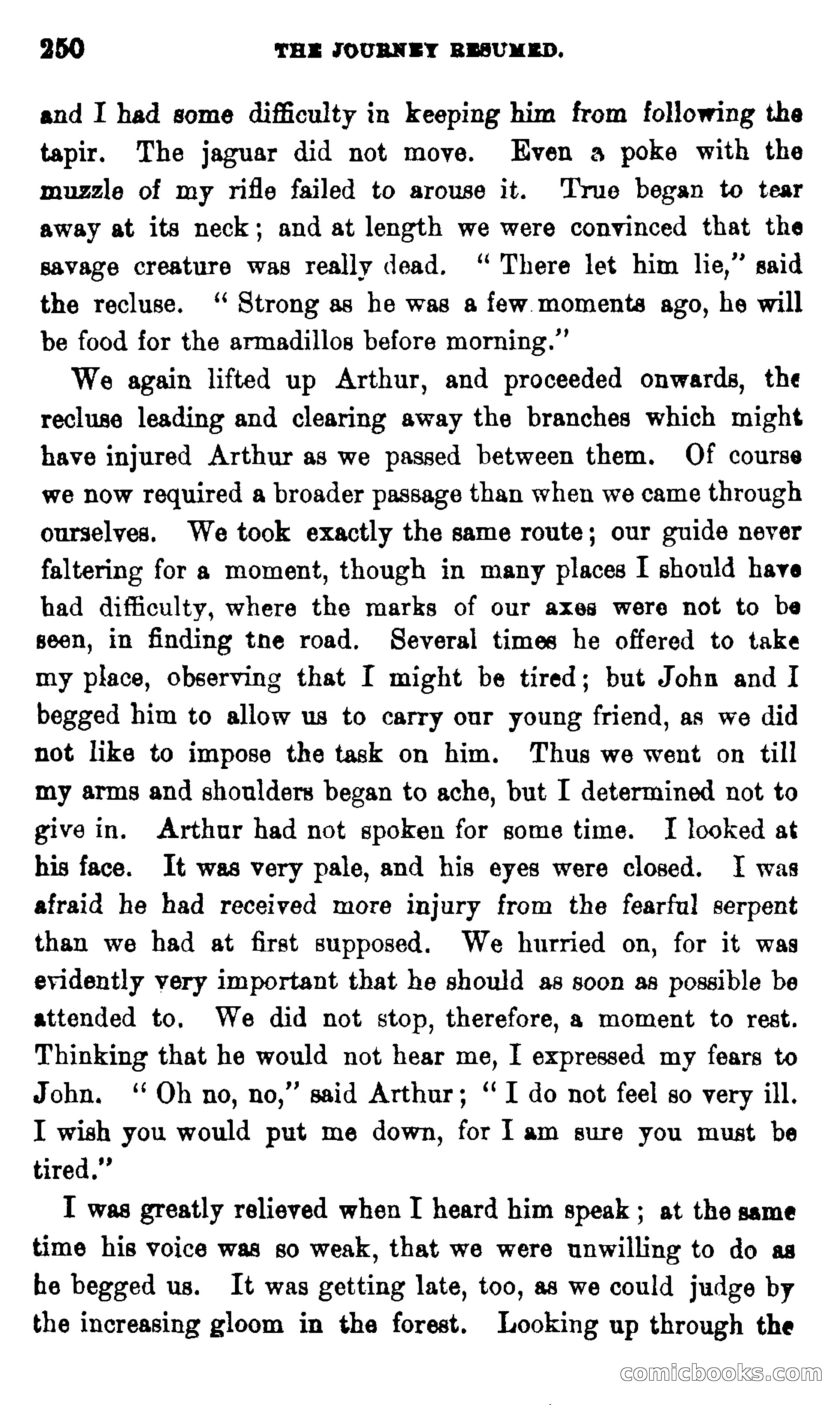 On the Banks of the Amazon — page 244 of 400