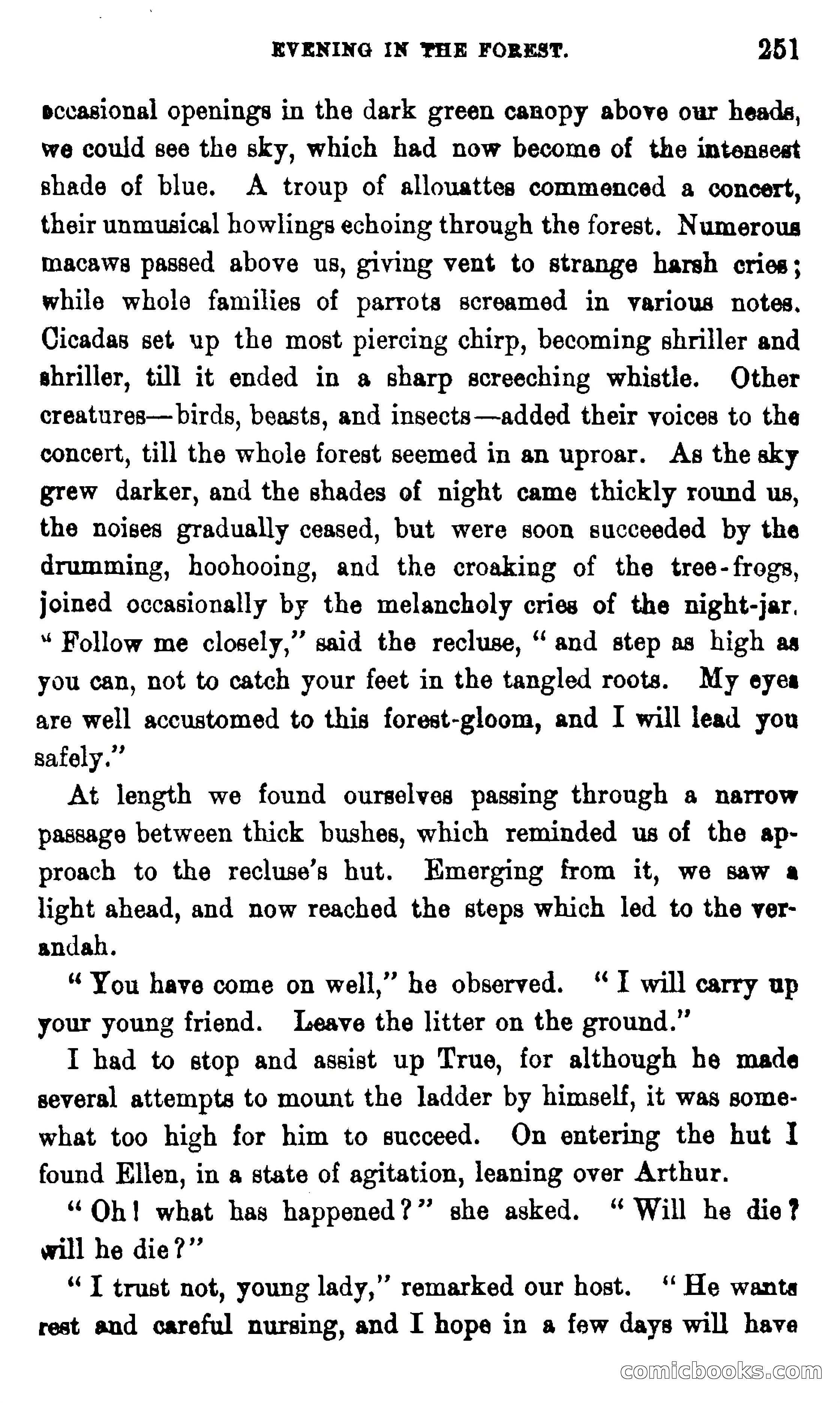 On the Banks of the Amazon — page 245 of 400