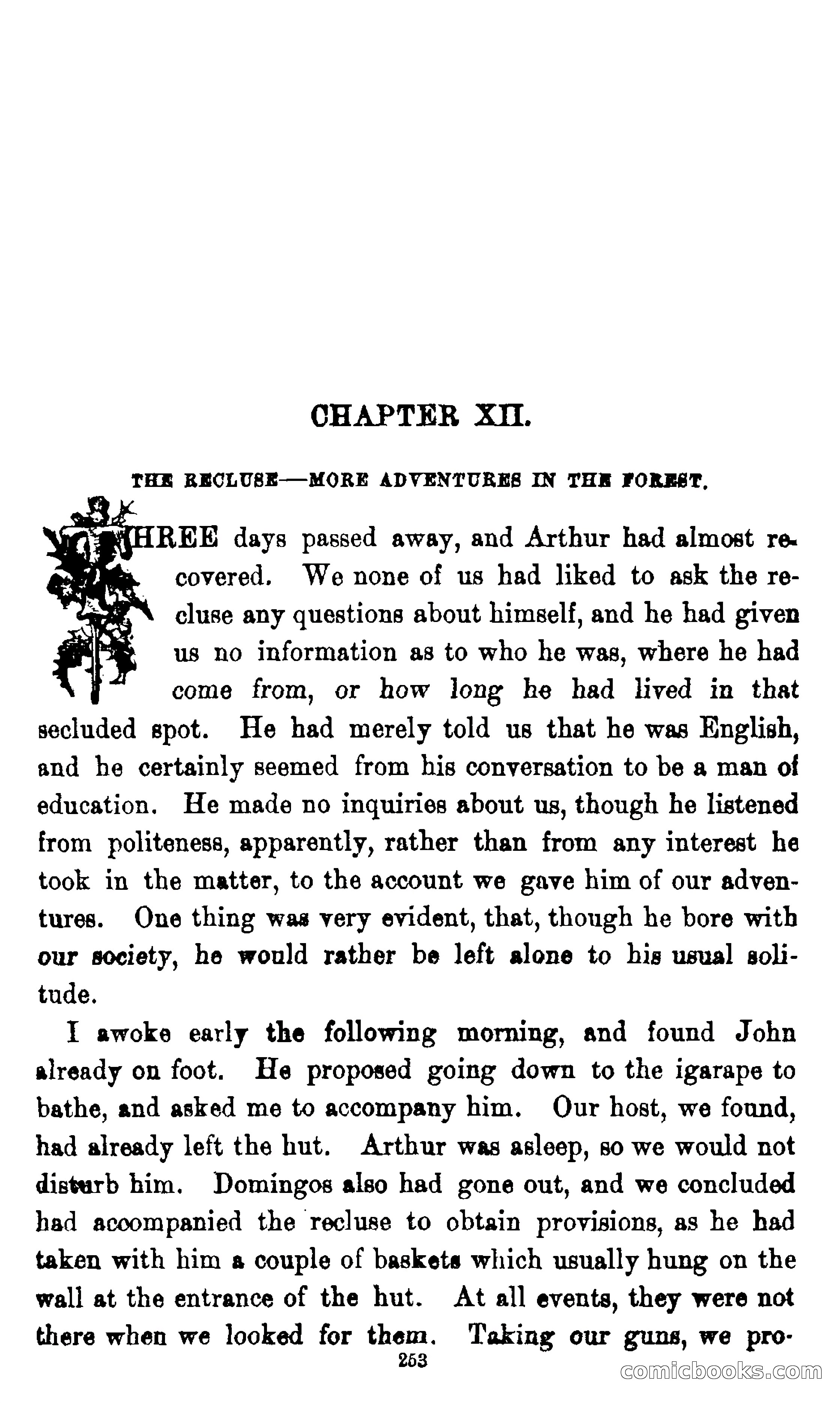 On the Banks of the Amazon — page 247 of 400